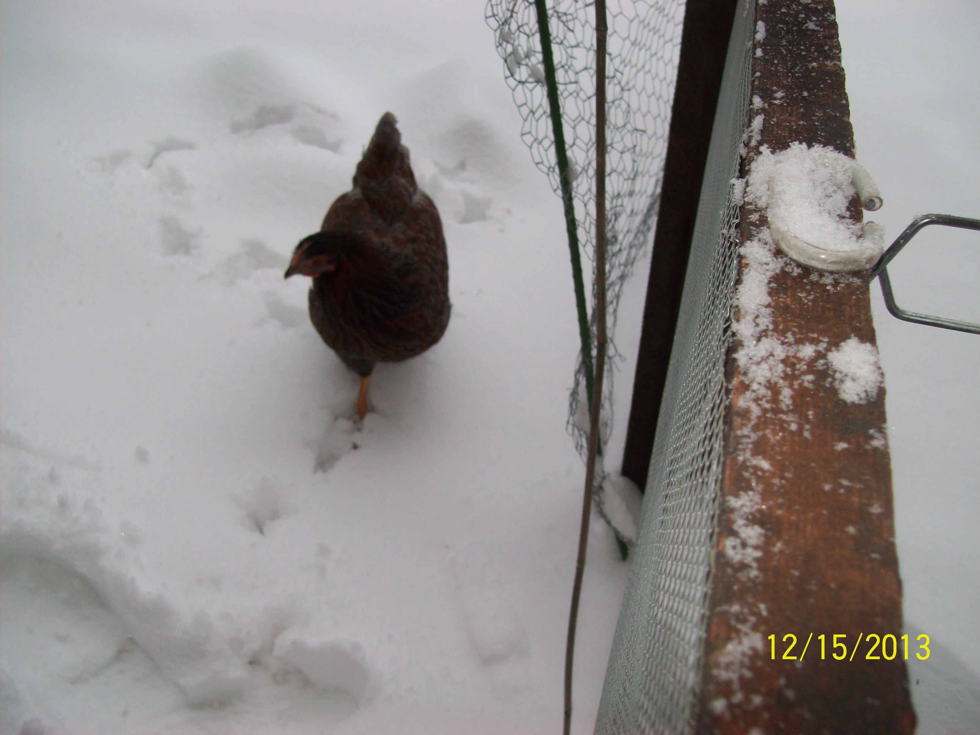 coming back to get the others...