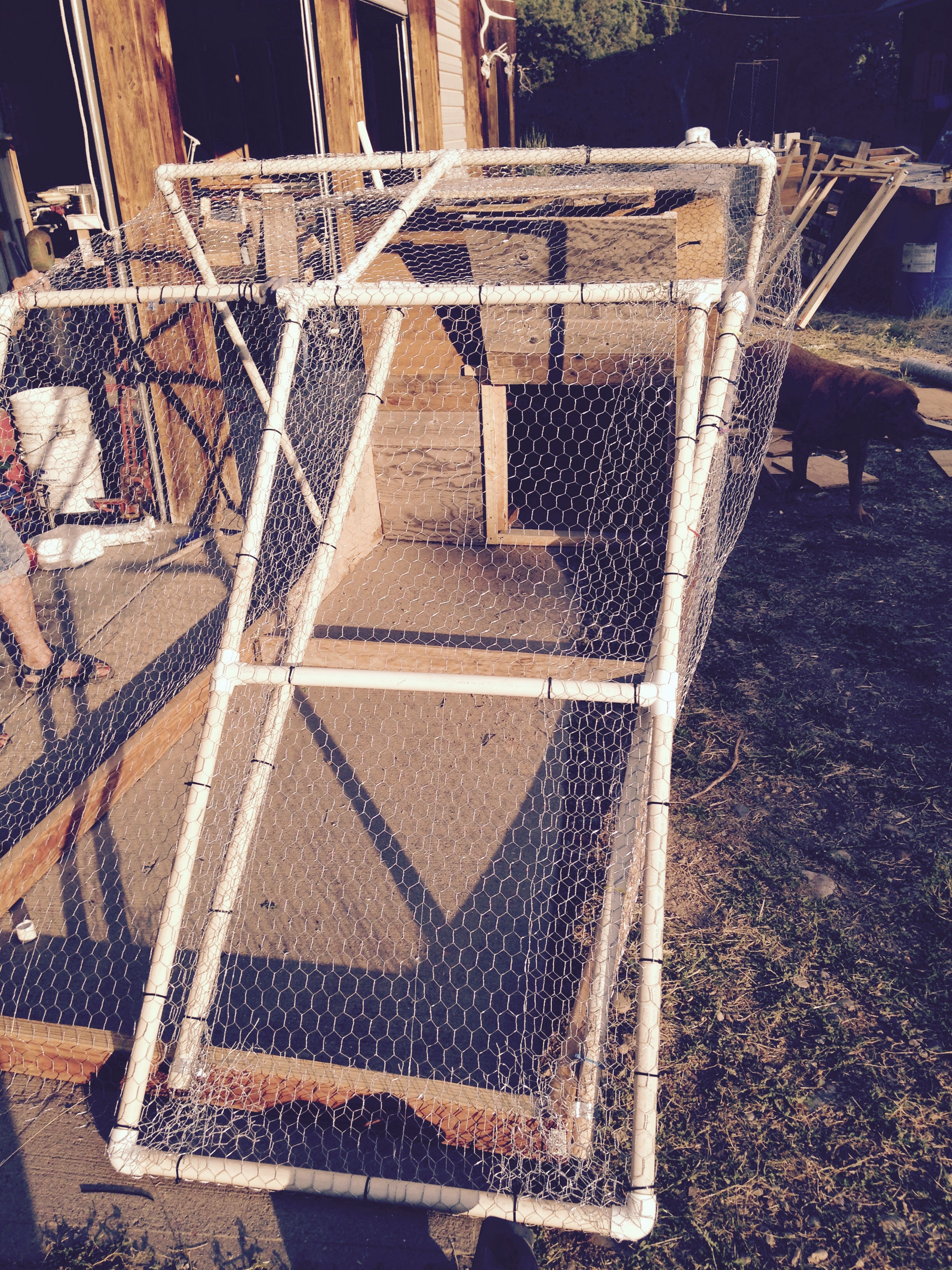 Complete chicken run, overbuilt and heavy, at least it's all recycled material. Wheels will be installed soon under the coop side.