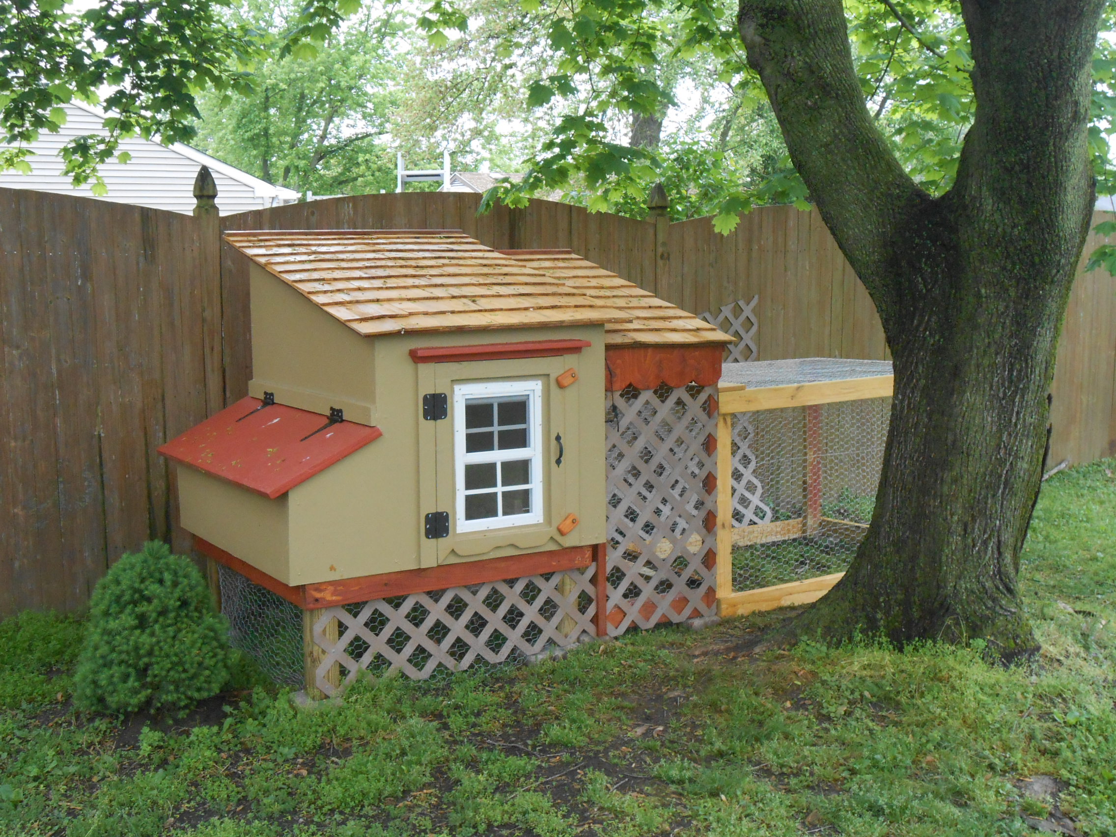 Completed and ready for the chicks.