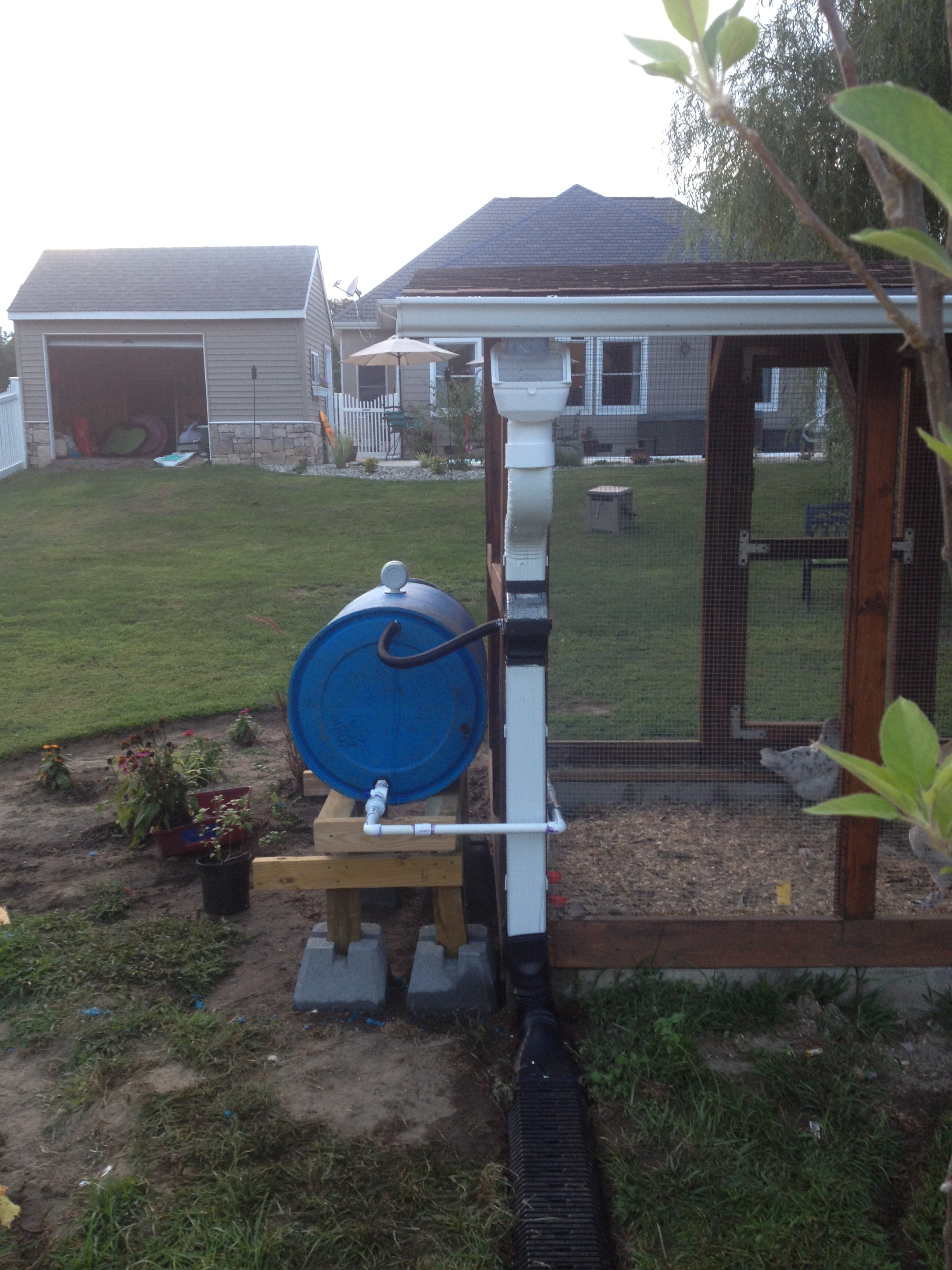 completed rain barrel watering system