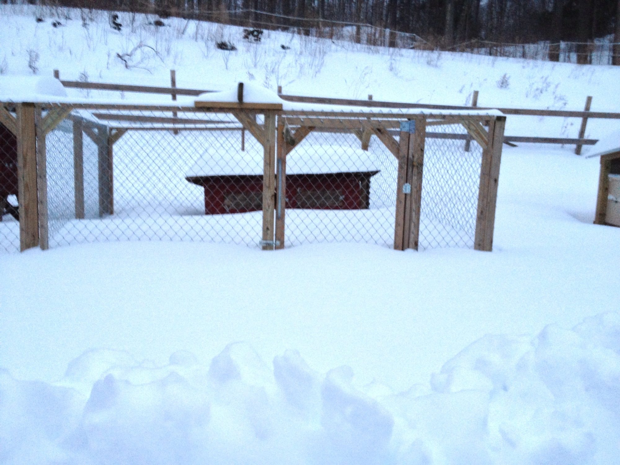 Completely snowed in!!