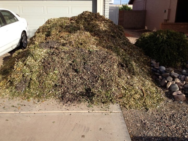 Compost, sumac and pecan