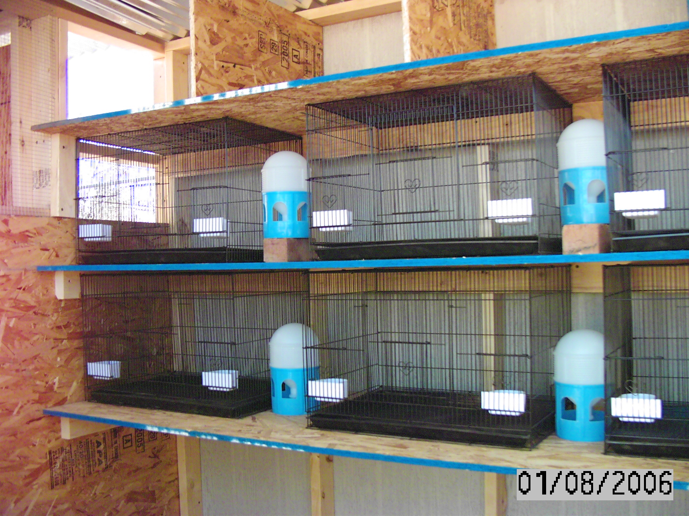 Conditioning pens