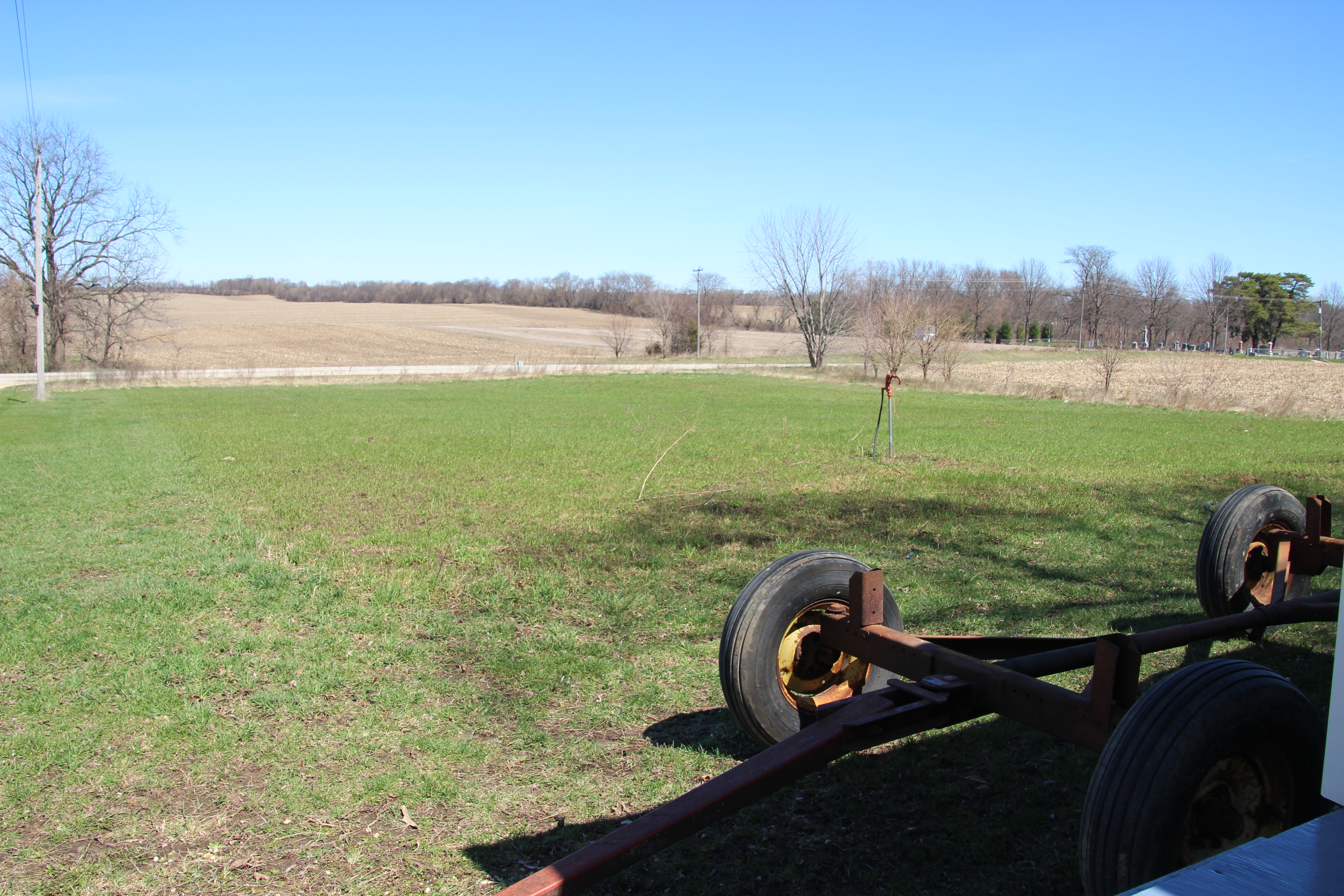 Controlled Burn Pasture - Regrowth from 3 weeks.