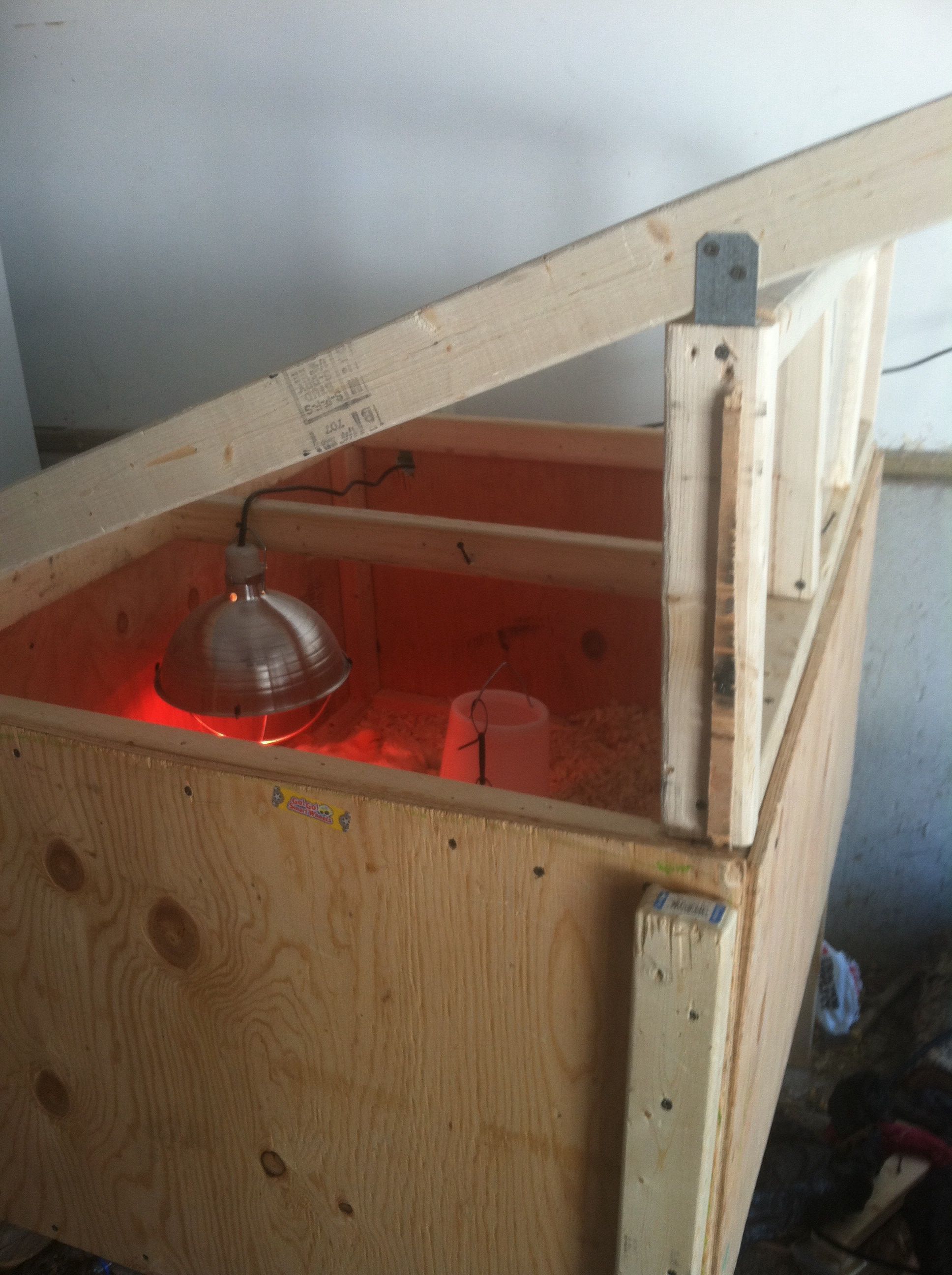 Converting brooder to coop as birds grow
