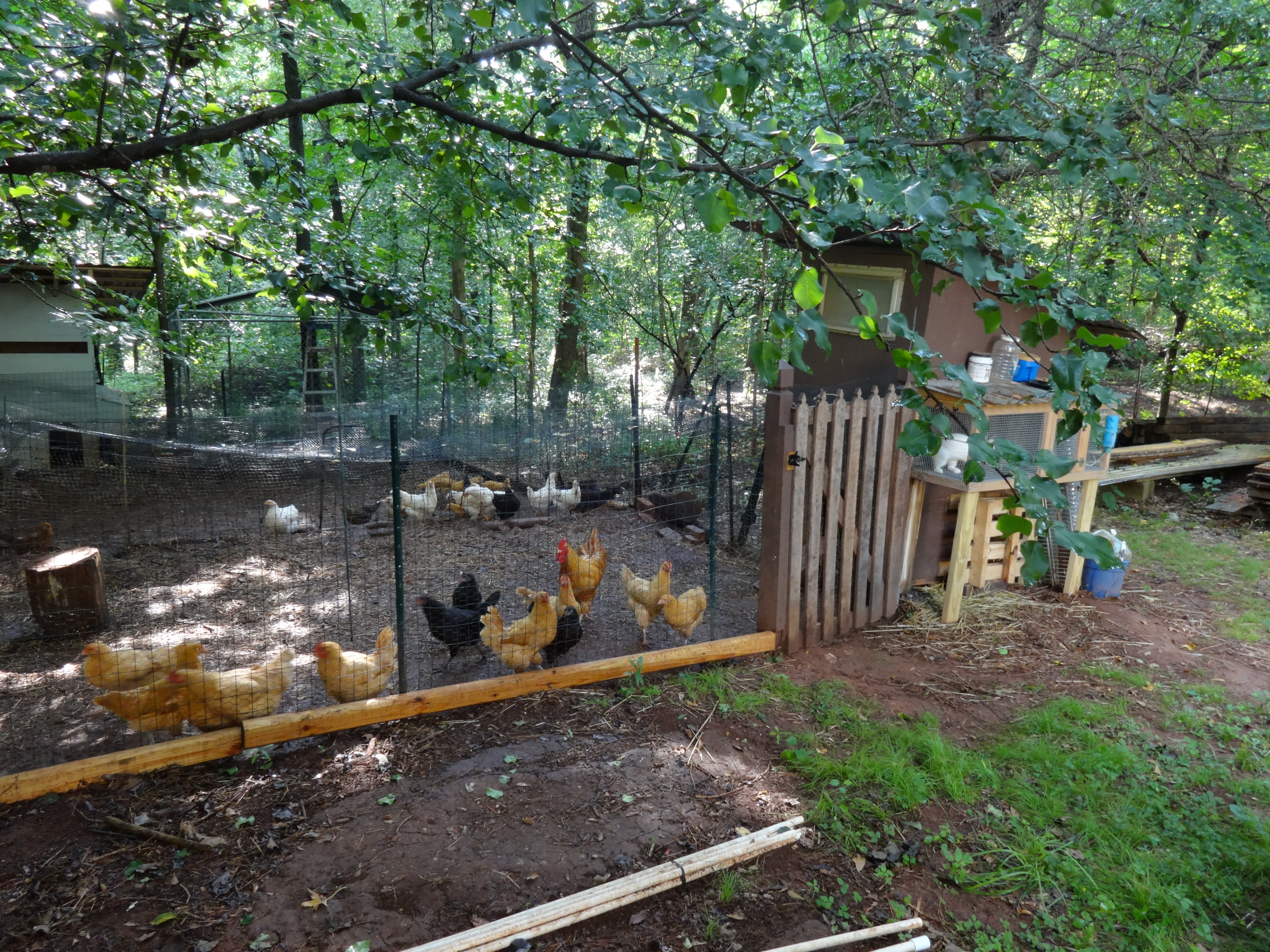 coop 1 and gate