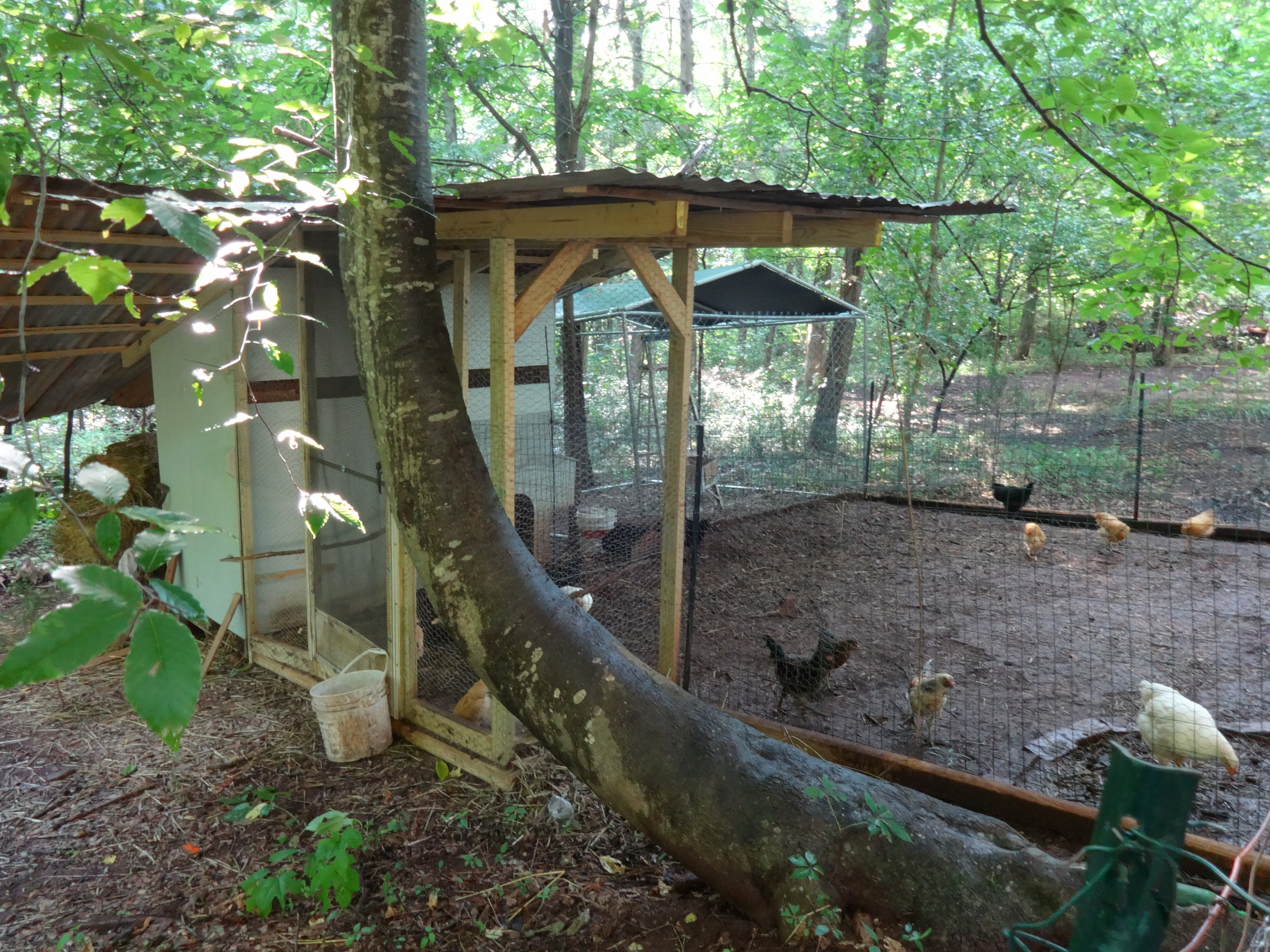 coop 2 a work in progress