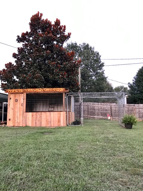 Coop 2