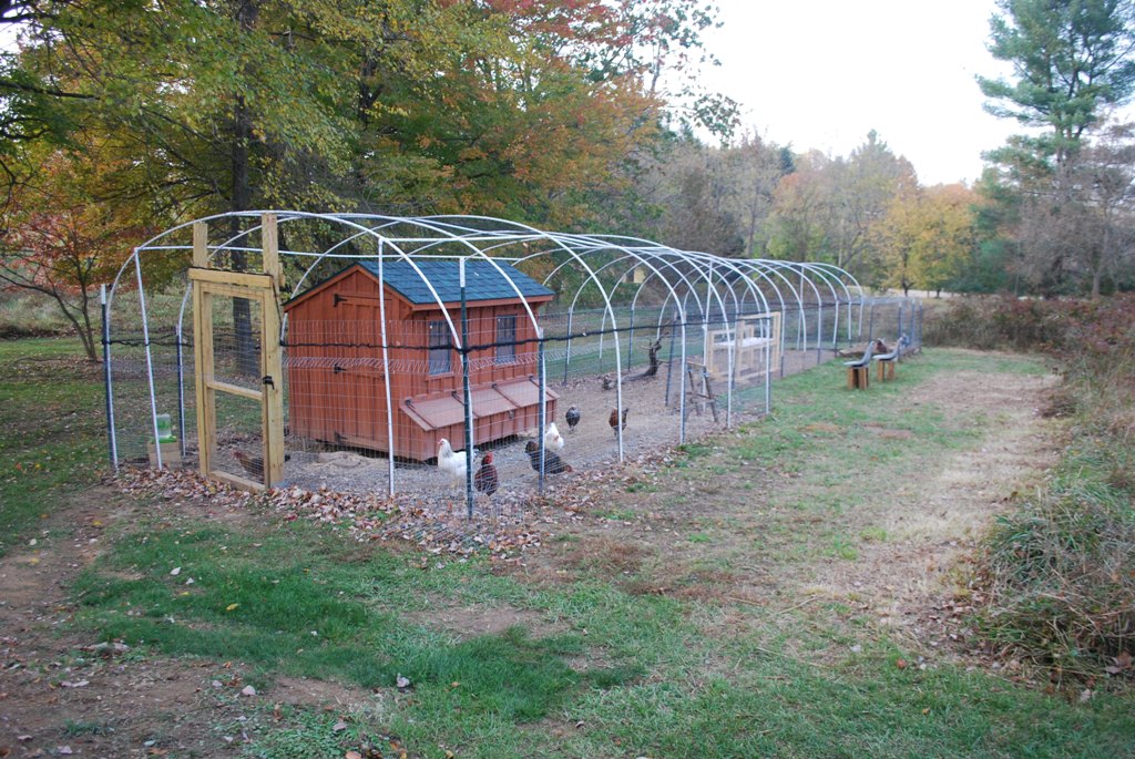 coop and enclosed run with "Chicken Channel" viewing area