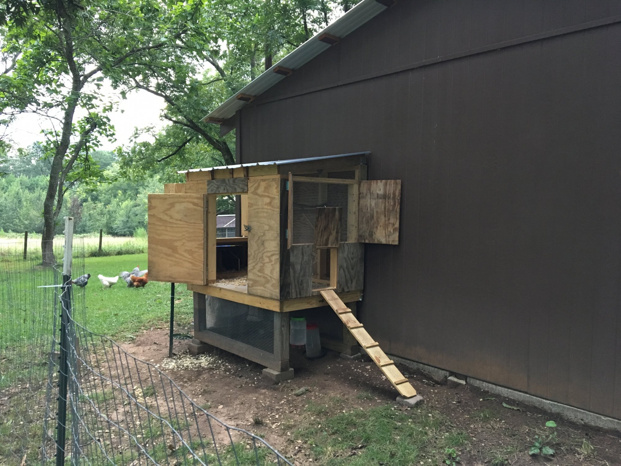 Coop and fenced yard