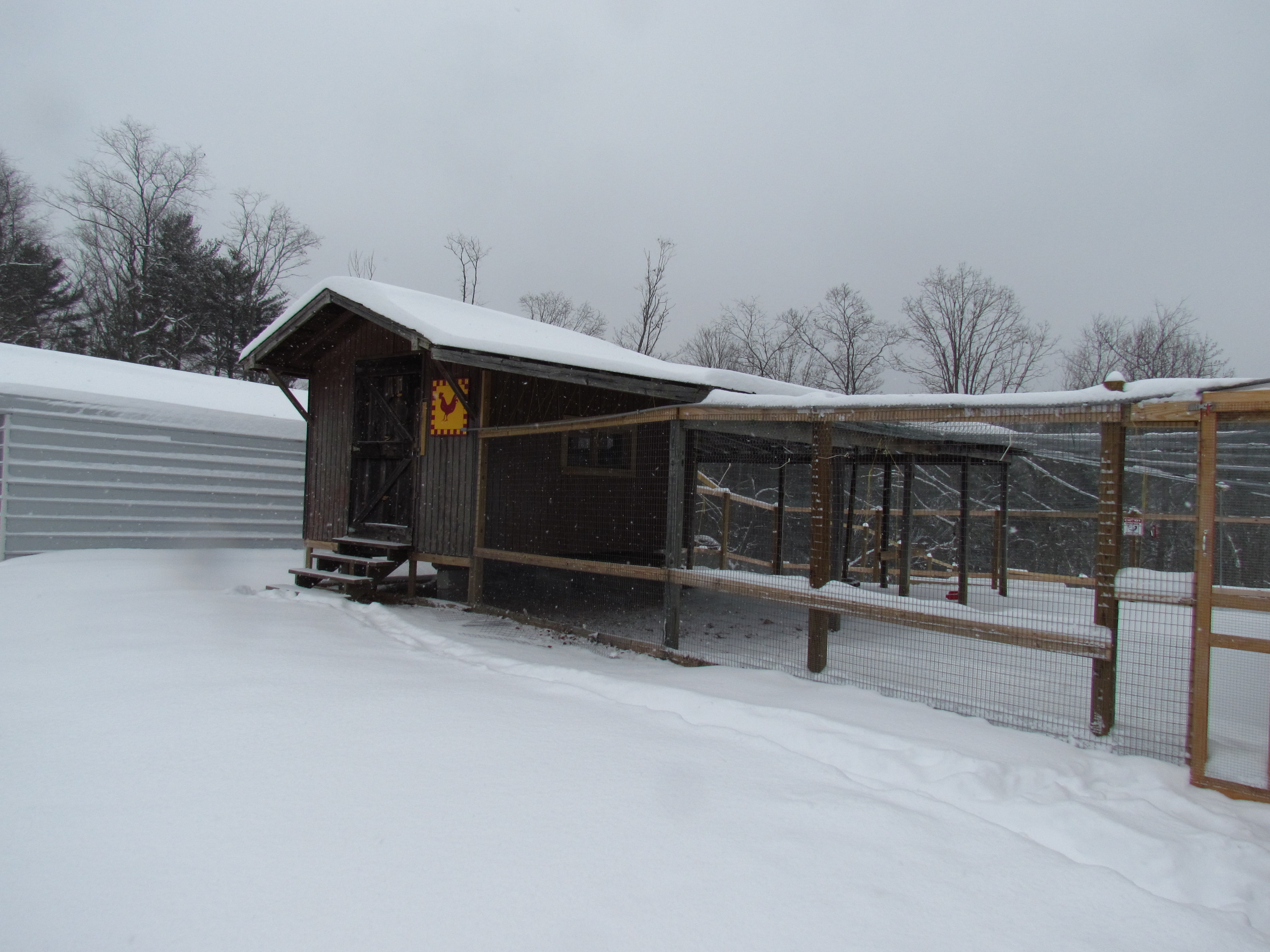 Coop and pen held up well in snow storm.