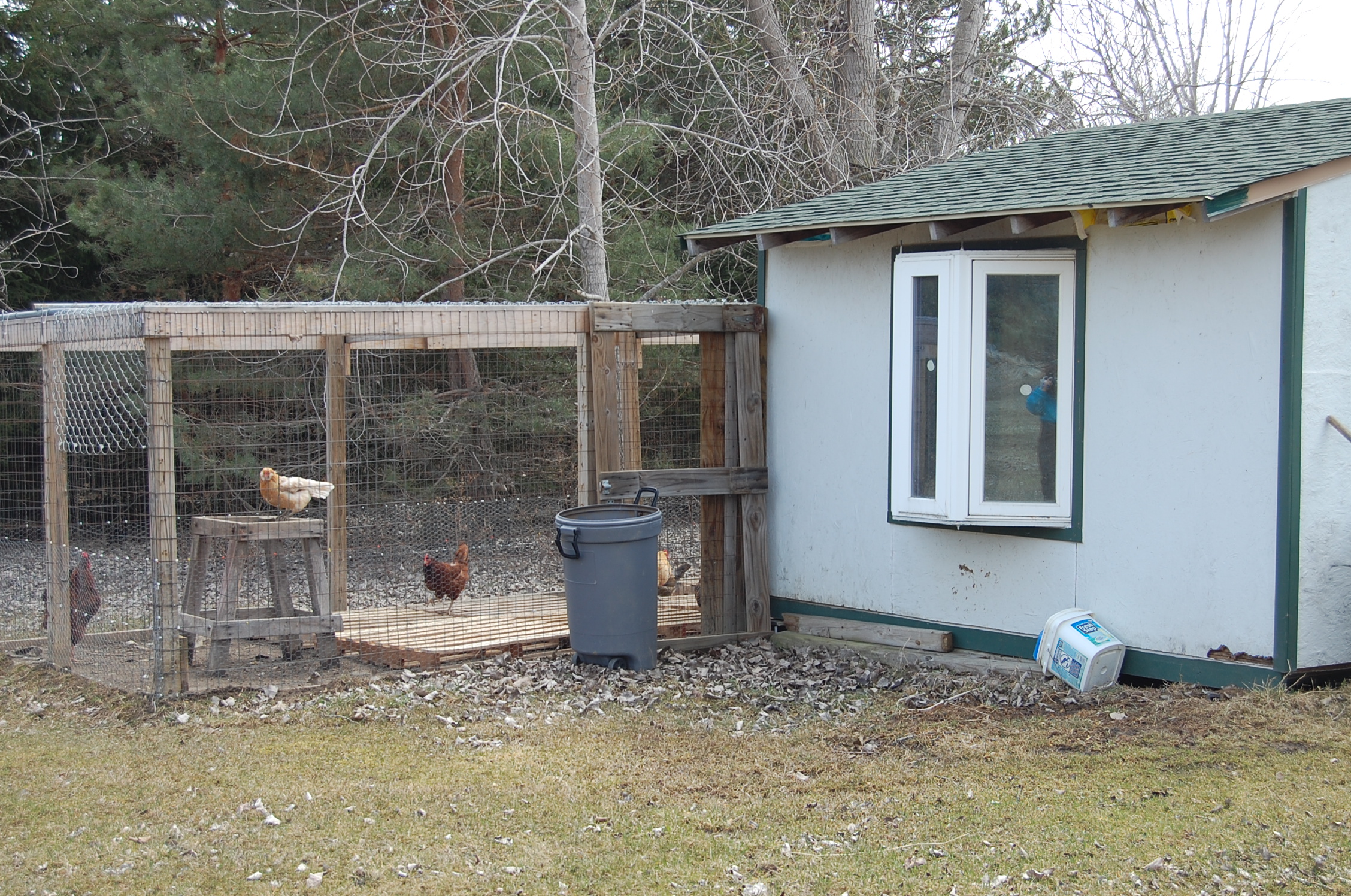 coop and run back with bay window that opens on right and left sides