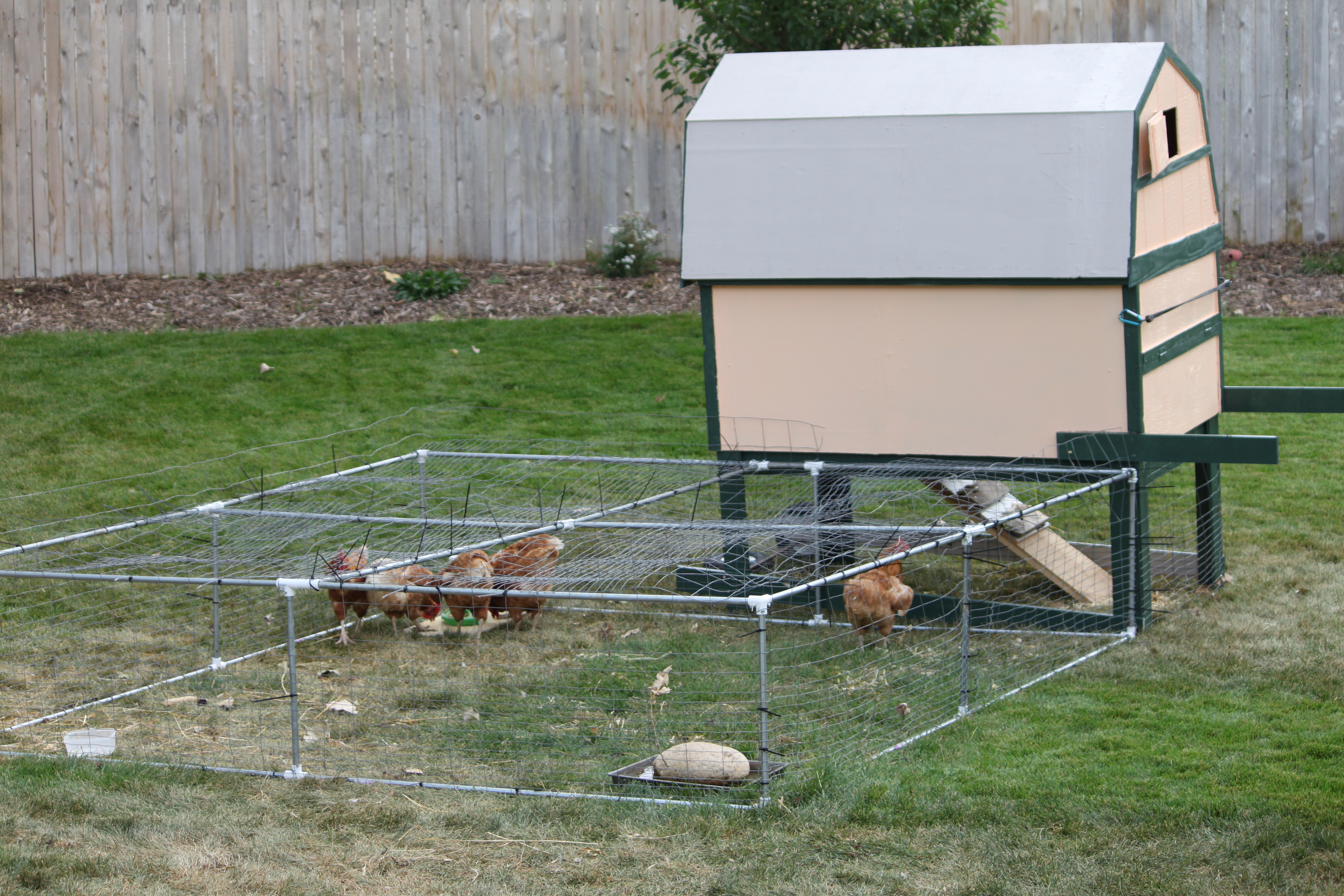 coop and run, both movable