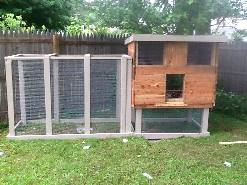 Coop and run during its construction