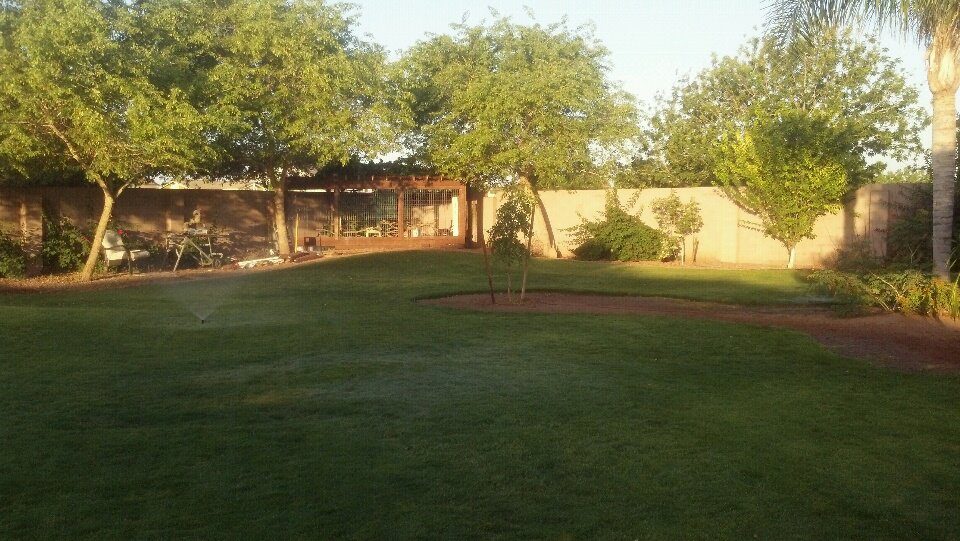 Coop and run is almost finished. This is the run tucked into the far back corner of our yard. We enclosed a trellis to make it.