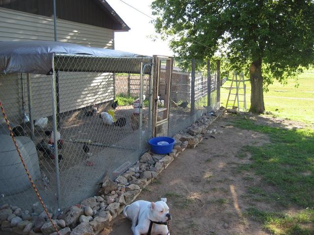 coop and run north side of garage