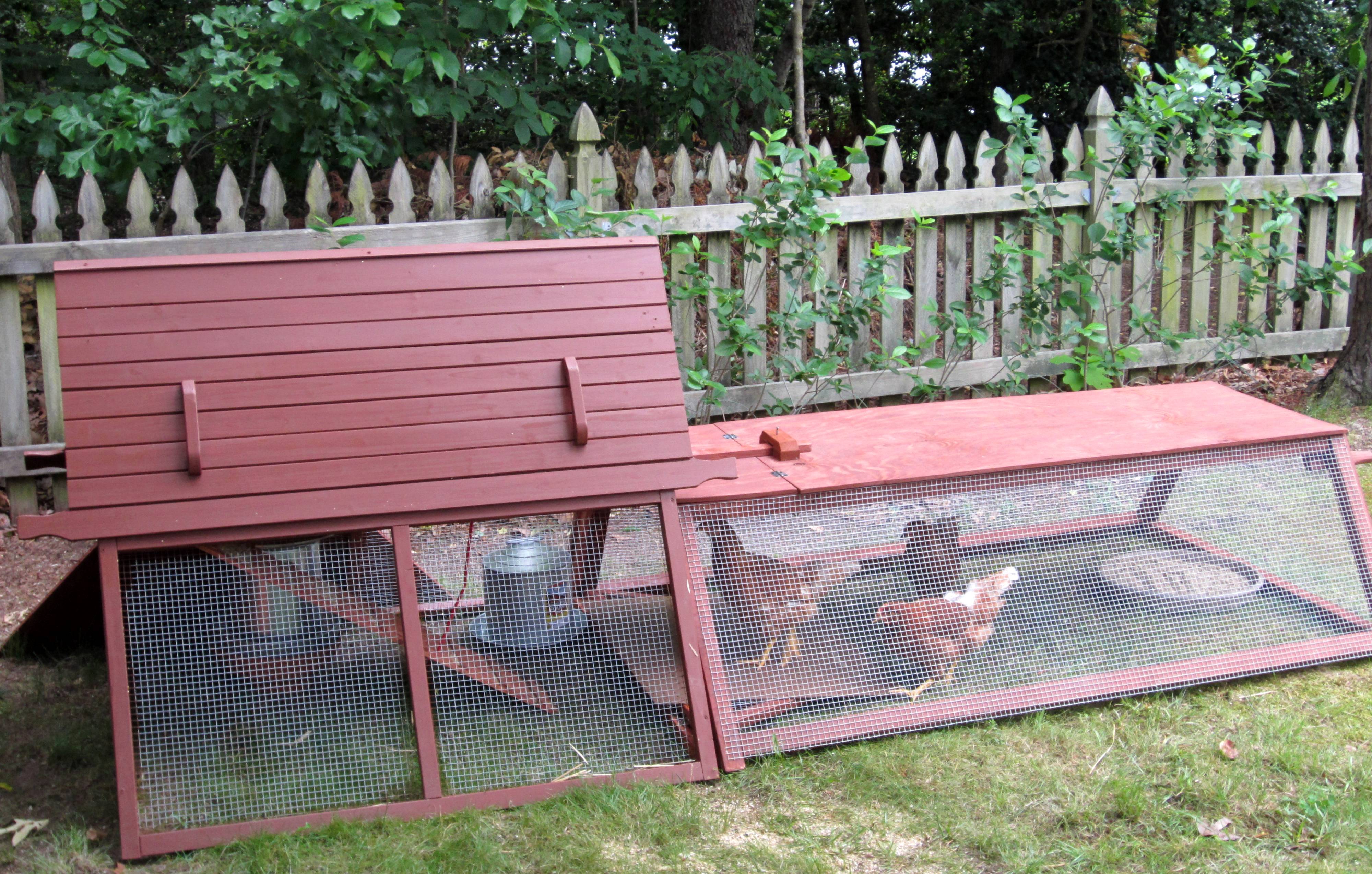 Coop and run.  Open bottom on both.