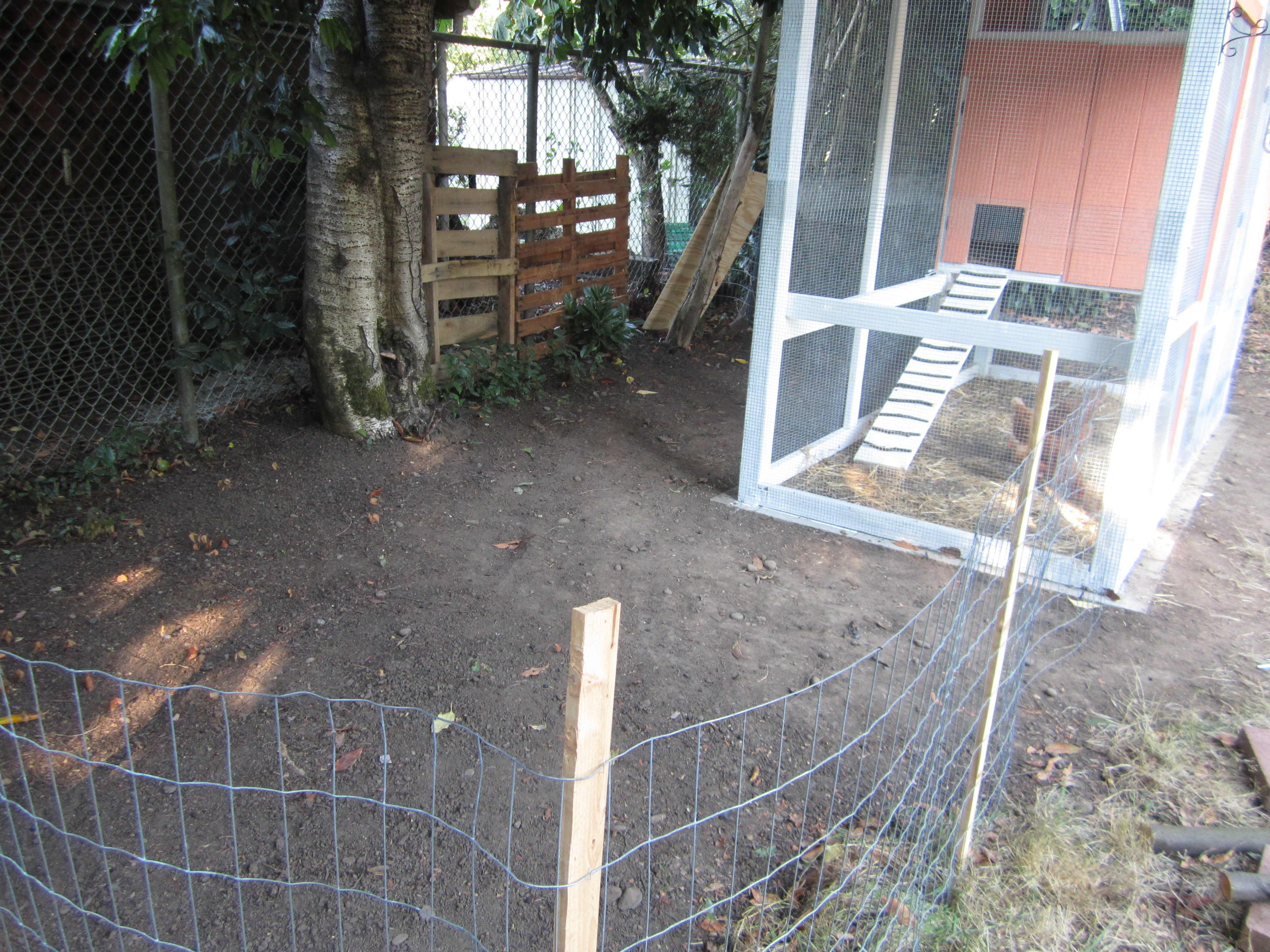 Coop and run We used the fence as the back wall for the run, with the coop itself the required 5 ft away from the fence line