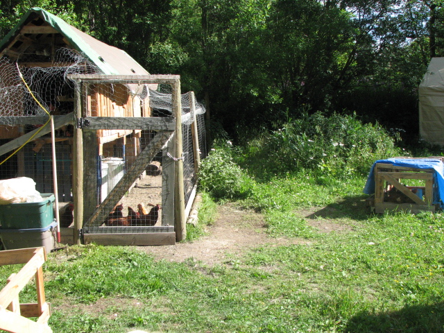 Coop and seclusion pen / chicken tractor depending on needs