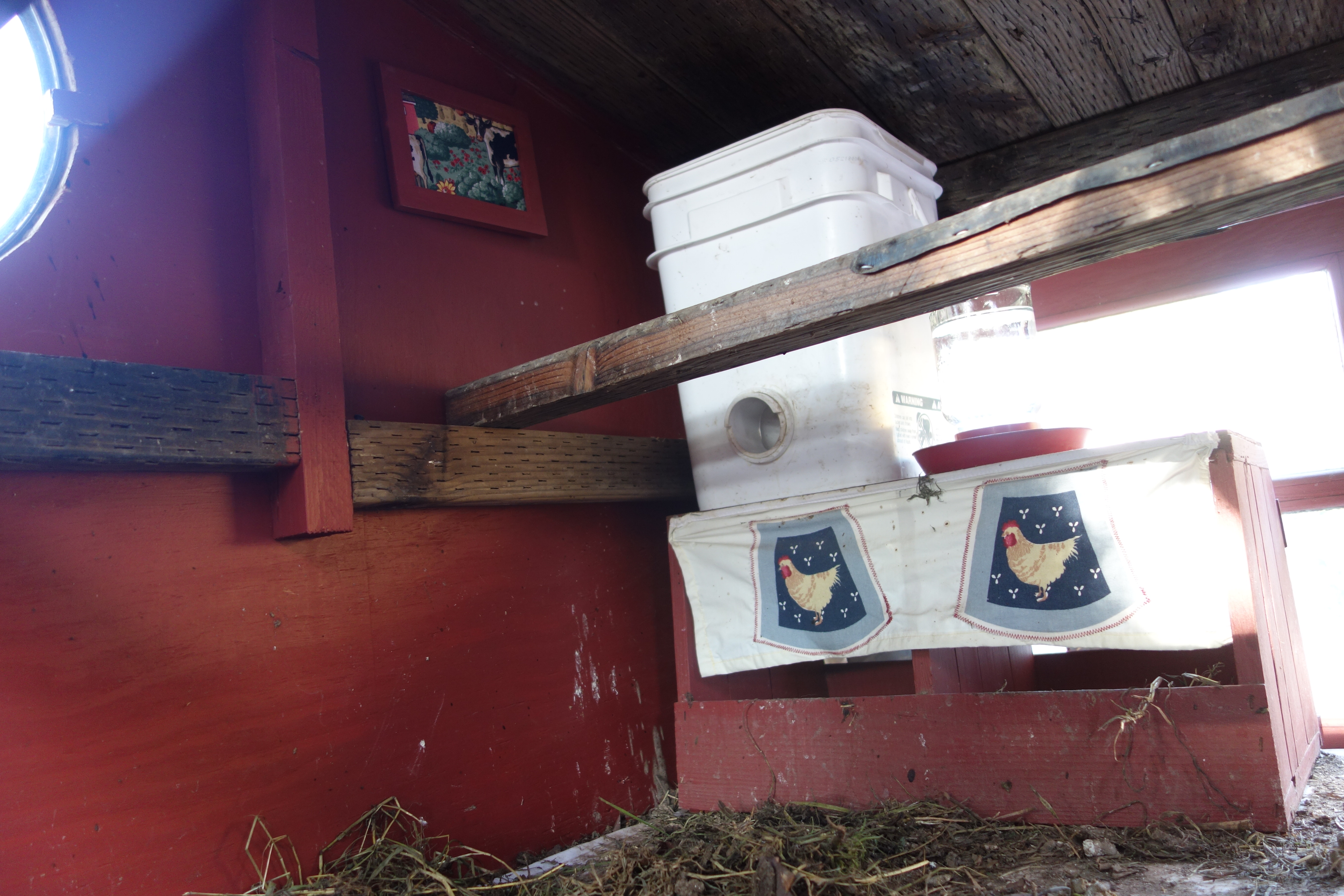 coop art on the walls, to make those long winter evenings less boring.