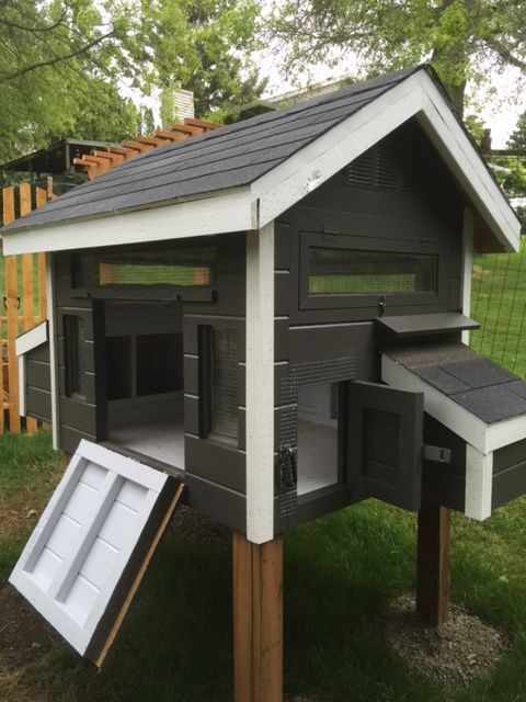 Coop before ramp all opened up and before adding screen door at human door opening