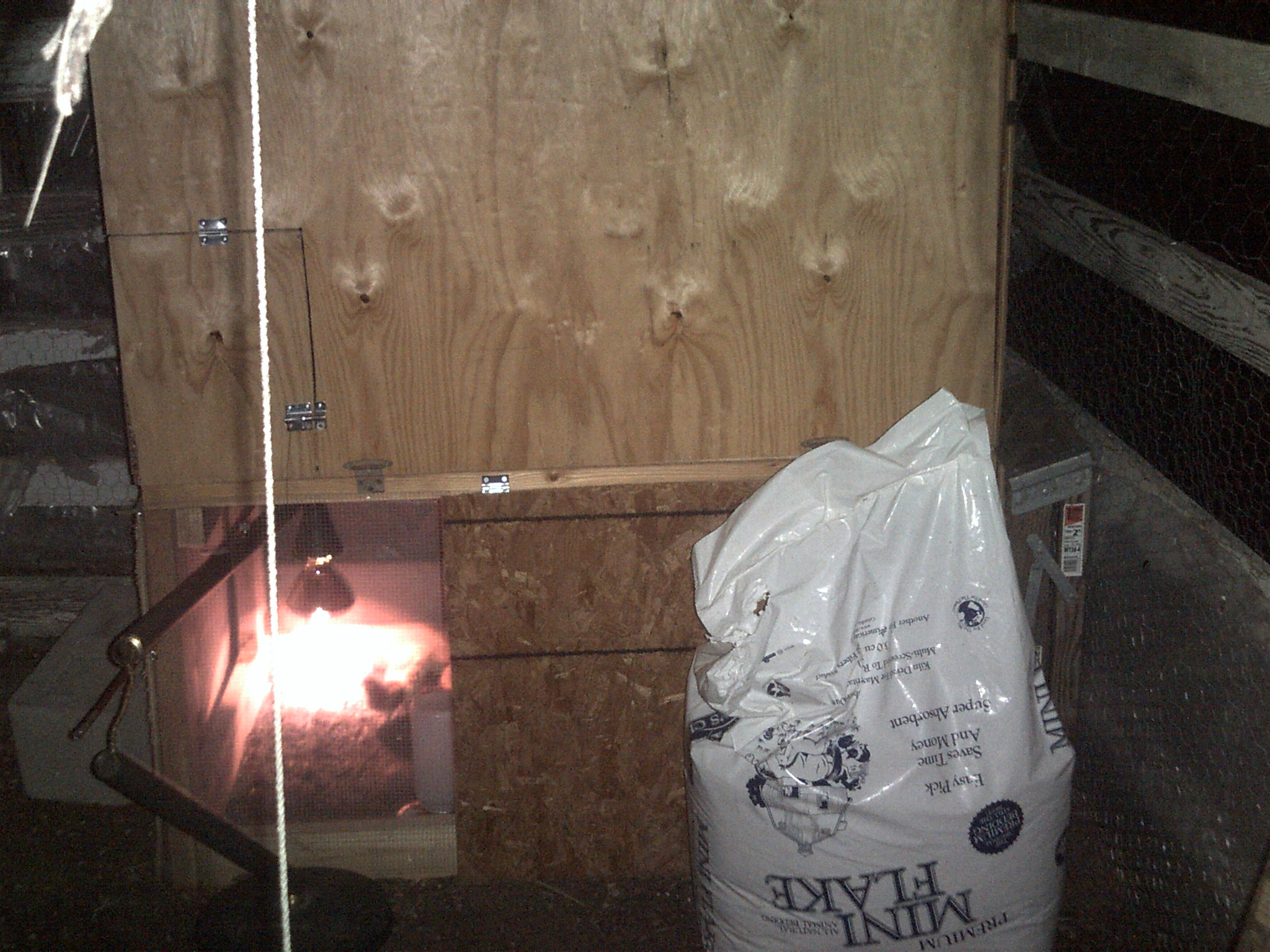 Coop\ brooder finished and with chicks