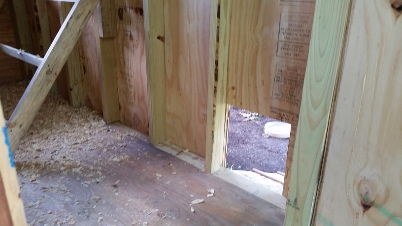 Coop - chicken door from the inside.