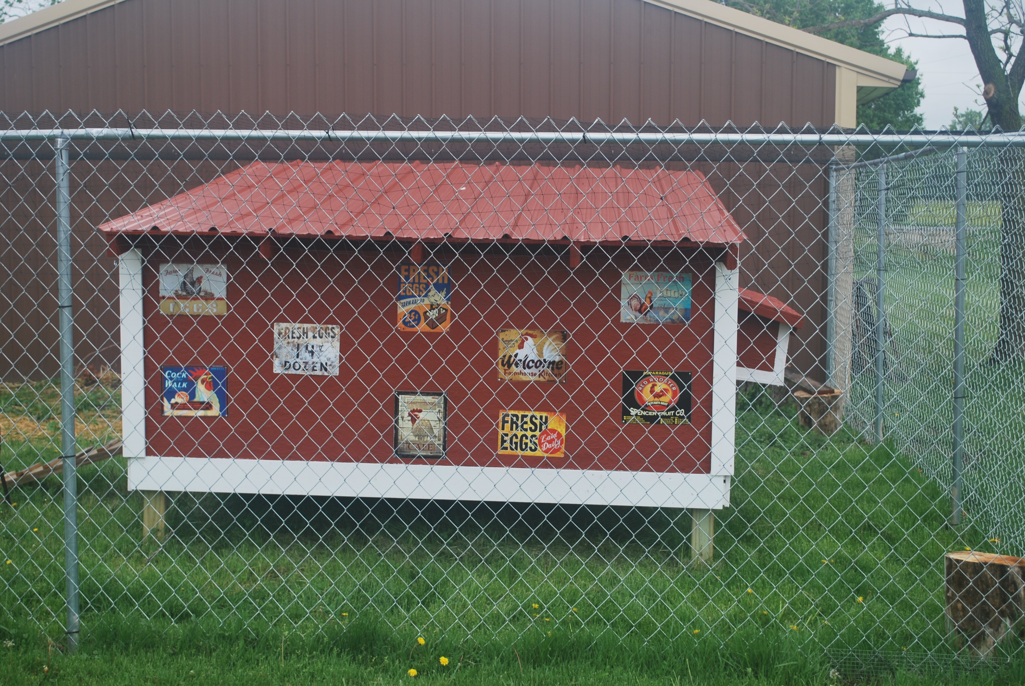 Coop decor