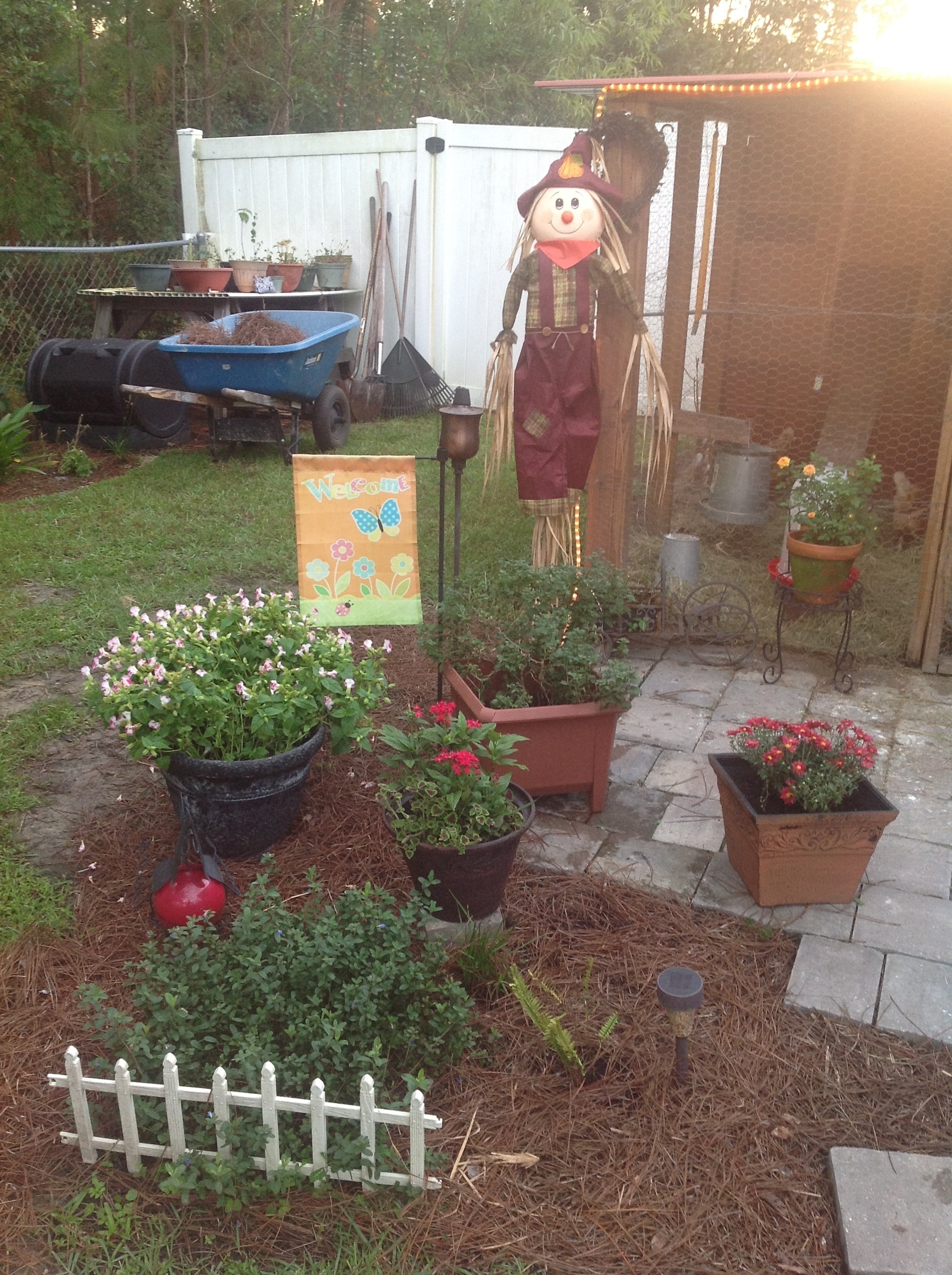 Coop decorated for fall