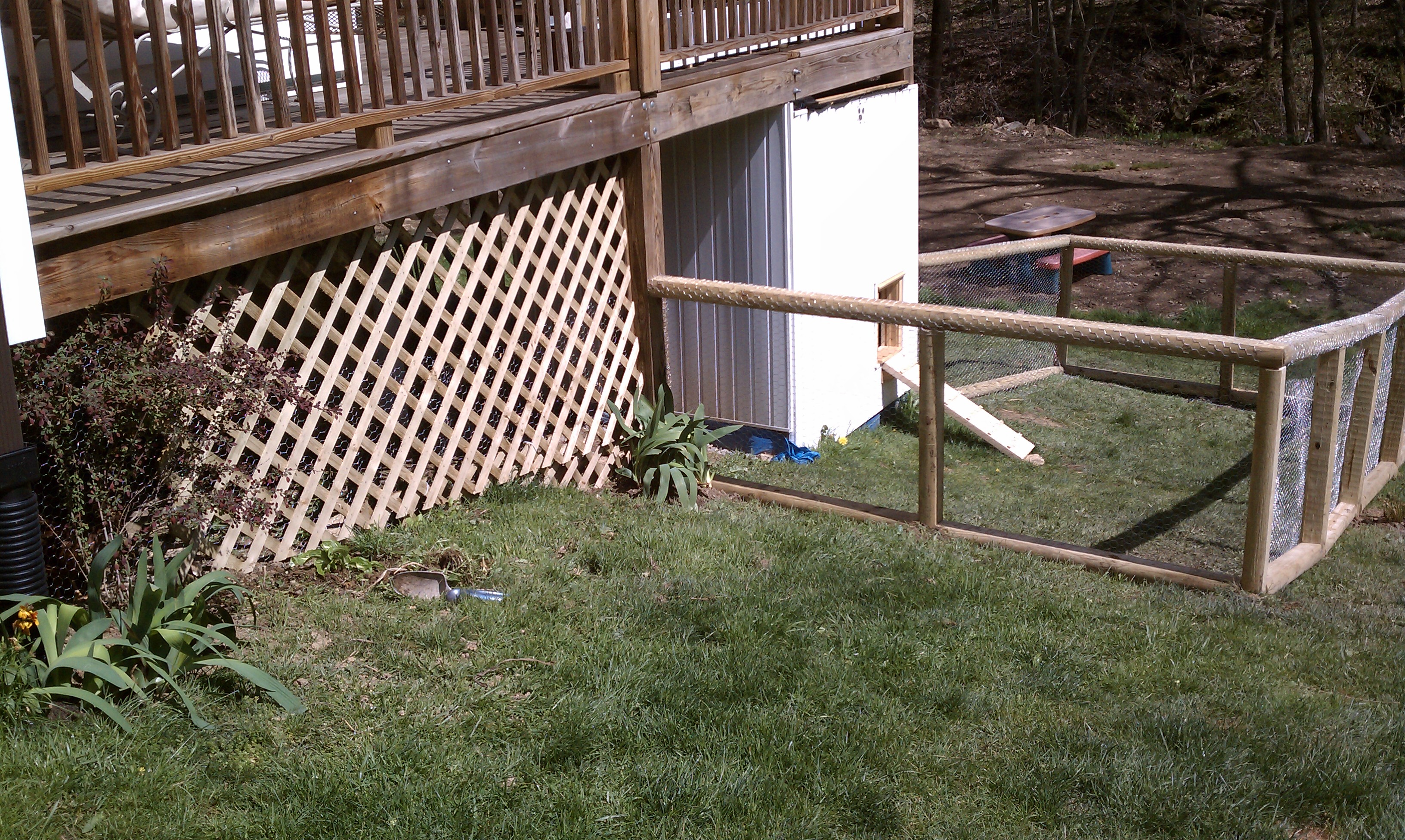 Coop fencing and lattice completed