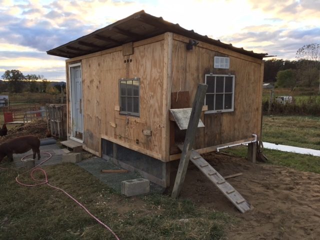 Coop floor was framed in and raised 18" on the coop side. Building before had a dirt floor. A door was installed leading into the storage side of coop. Ventilation added on both ends of coop and to the front. Vents holes on front can be shut if needed. Hardware cloth apron added around the entire coop. Will be covered with dirt and rocks.