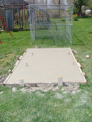 Coop floor.