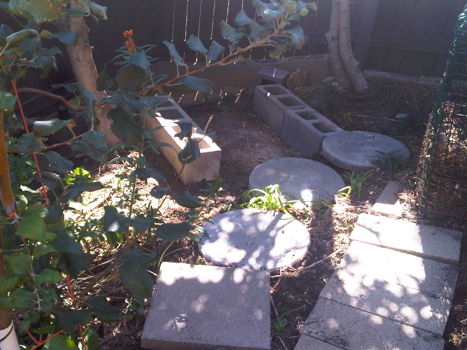 coop foundation. situated between 2 large holly bushes in the side yard about 10 feet from the house. It will have total shade, Its on the south side of the house but shaded. I'm up on a hill, so there is usually a breeze in the summer. The coop will be inside a new composite stockade fence