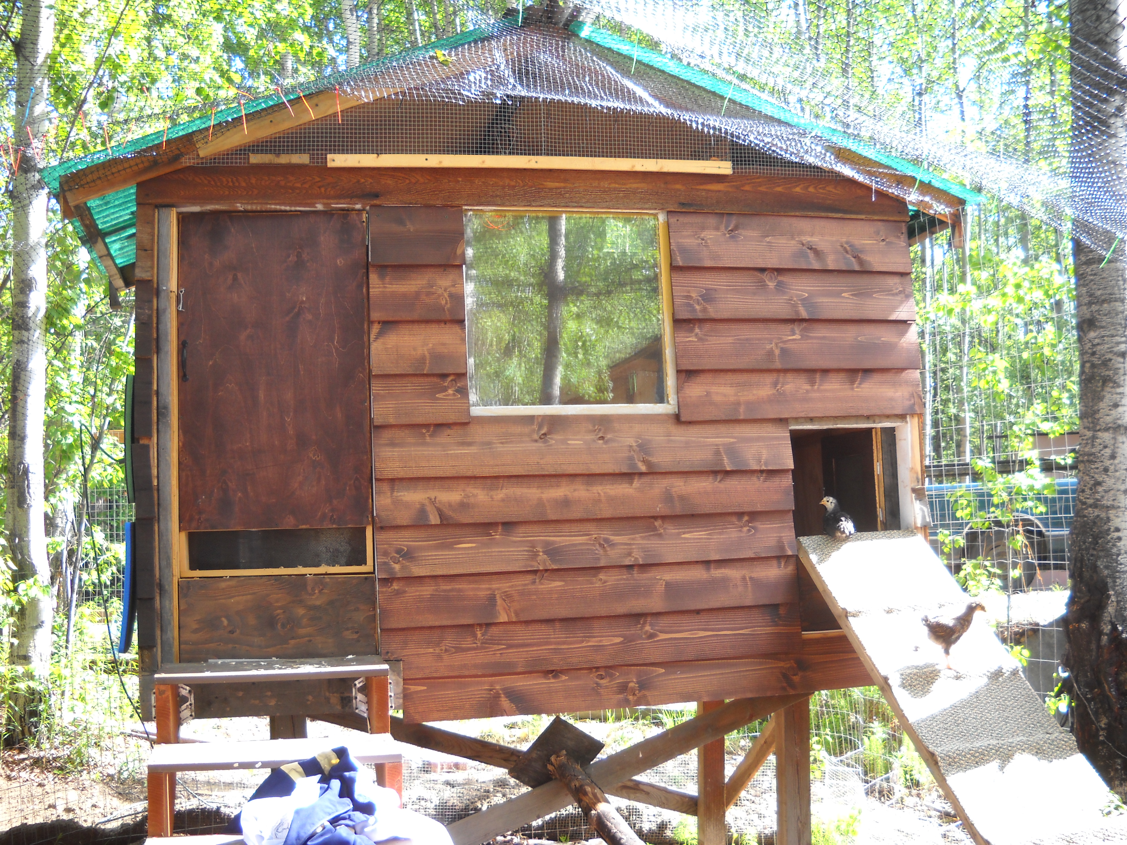 Coop Front View, window is quadruple pane glass, eves are hardware cloth, there's a vent screen in the bottom of the man hatch, and a vent screen in the chicken door, it's roughly 4 foot by 8 foot, formerly a children's playhouse.