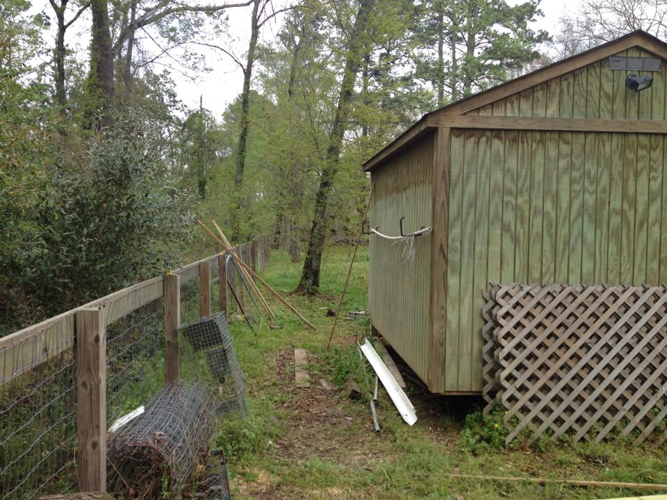 Coop/goat barn in progress