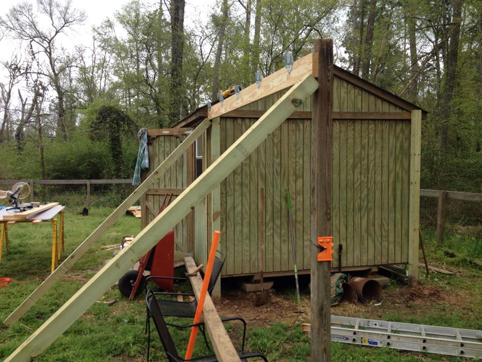 Coop/goat barn in progress