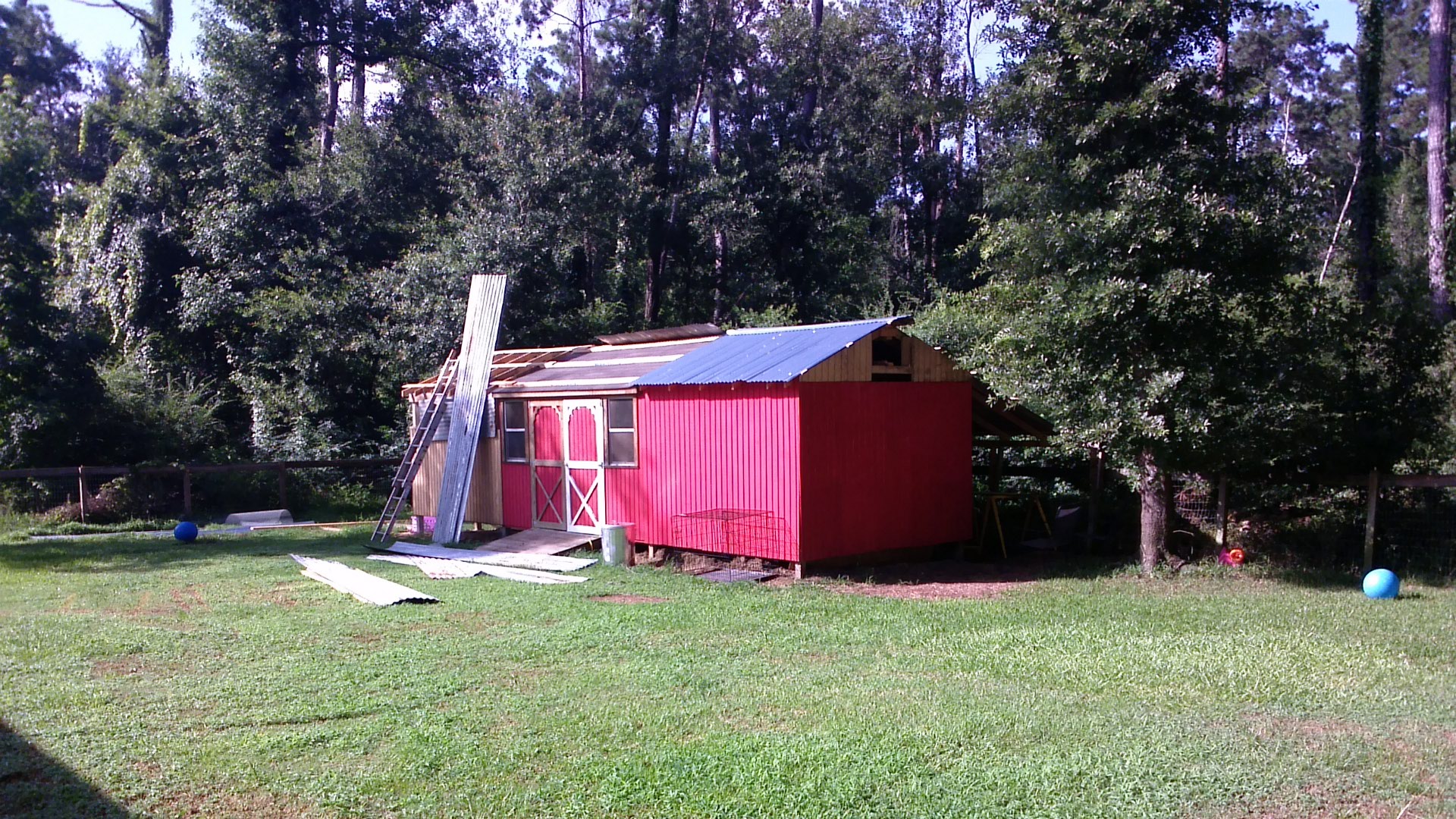 Coop/goat barn in progress