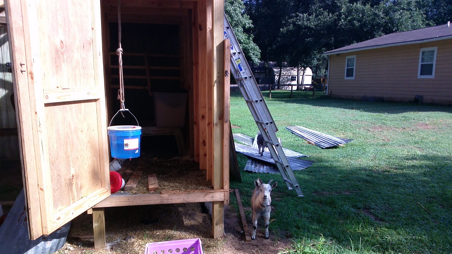 Coop/goat barn in progress