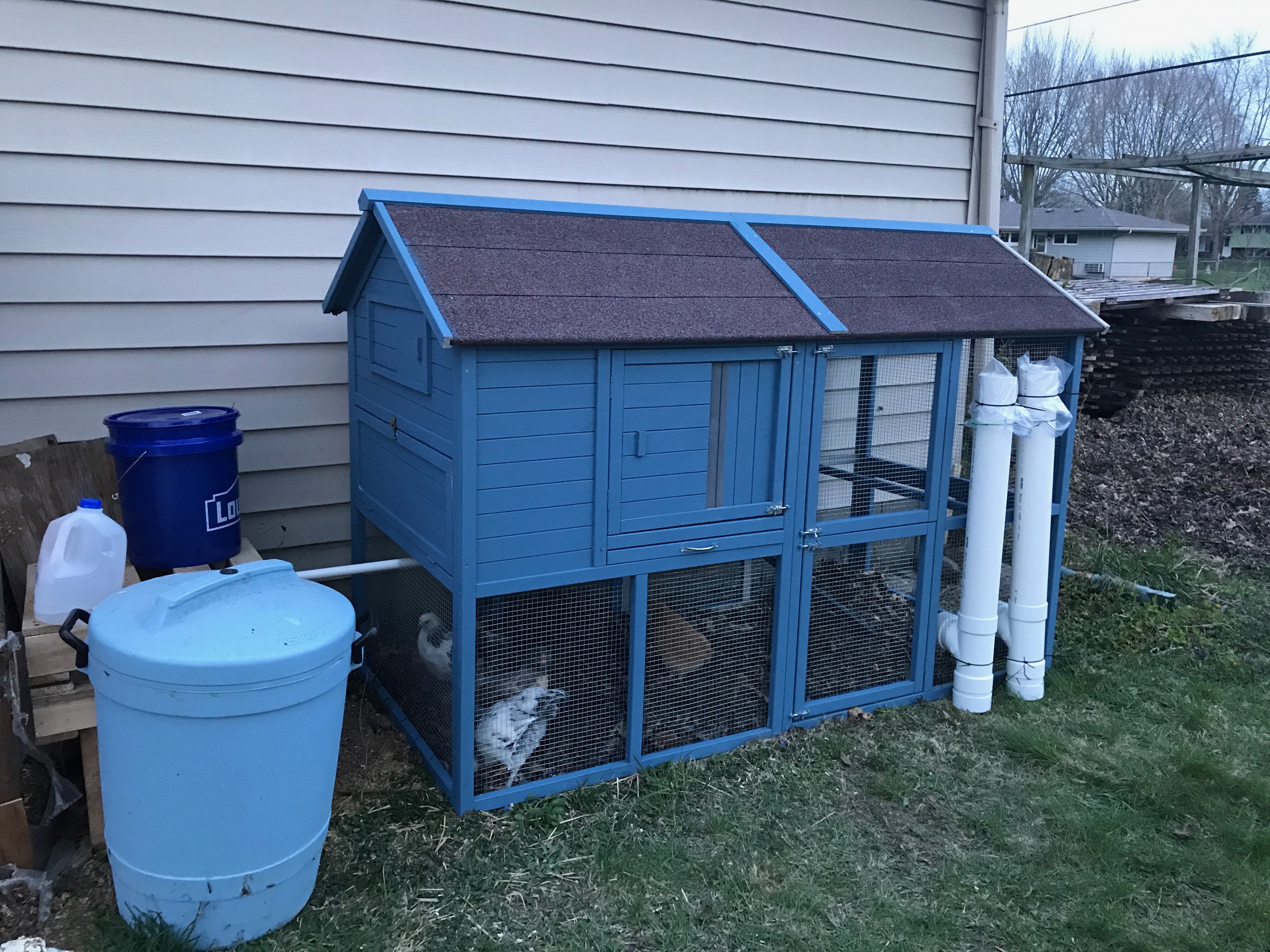 Coop I have now that we'll slowly add on to. The feeders are the PVC up front and the waterer runs via bucket to PVC to nipples. My goal was to maximize floor space.