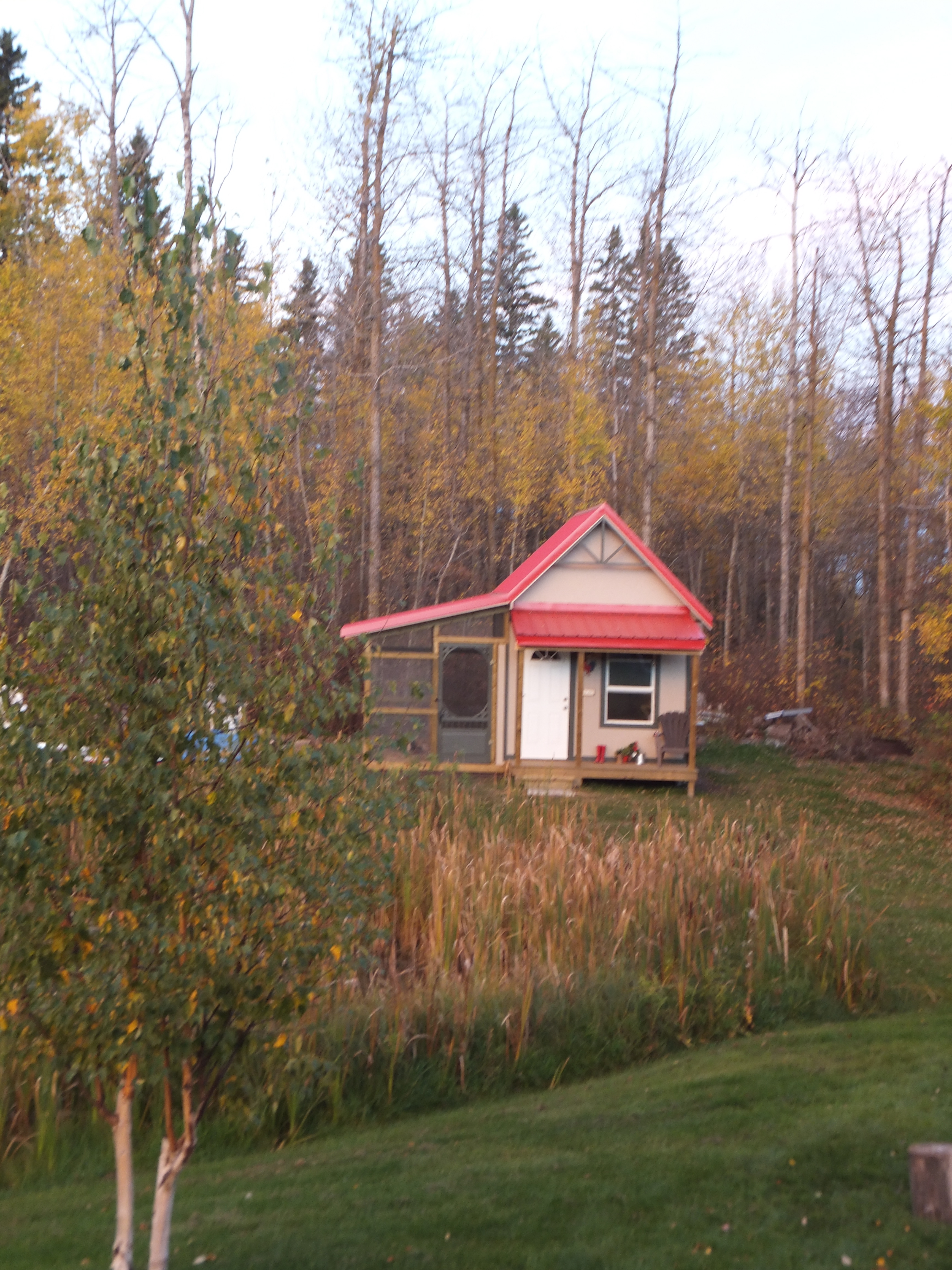 Coop in fall.
