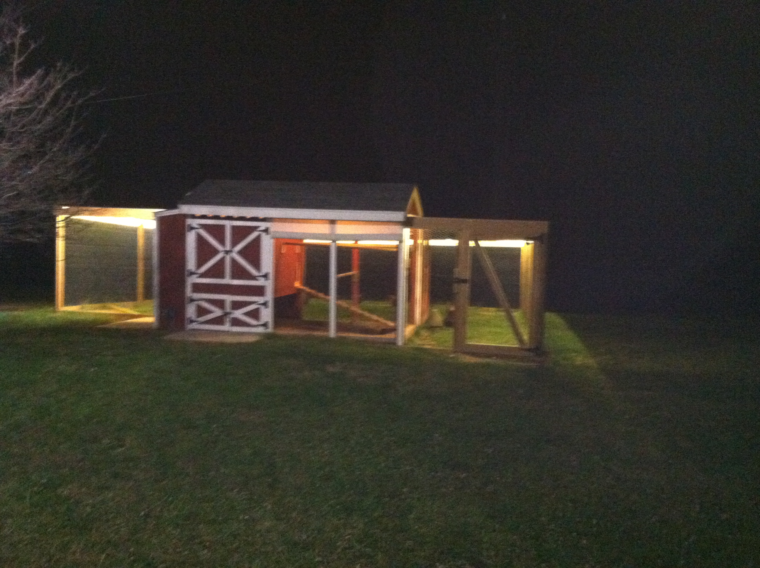 Coop in place with fenced in playground with lots of lighting! I have three cameras installed in various places to watch my peeps!