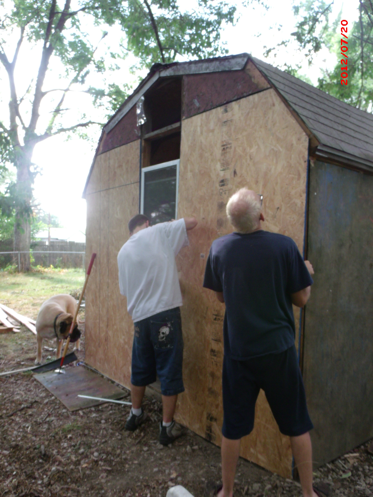 Coop in progress (back)