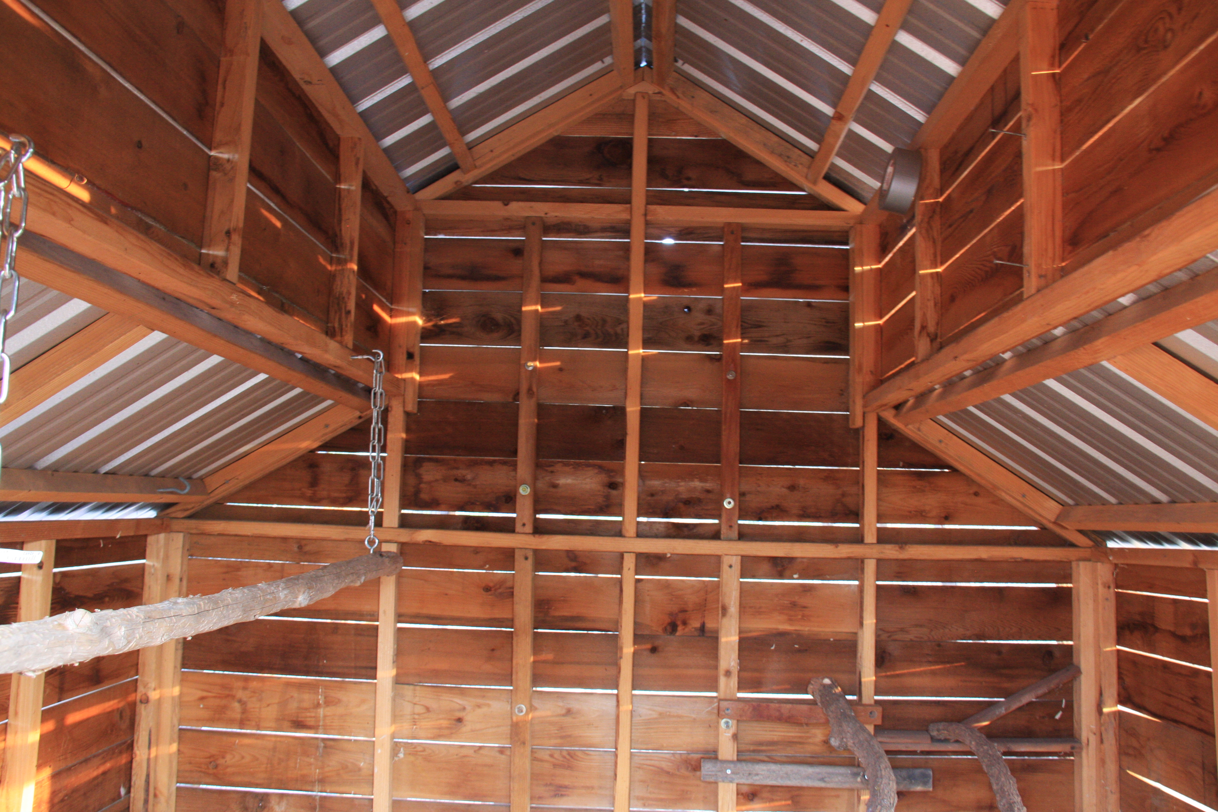 Coop inside roof