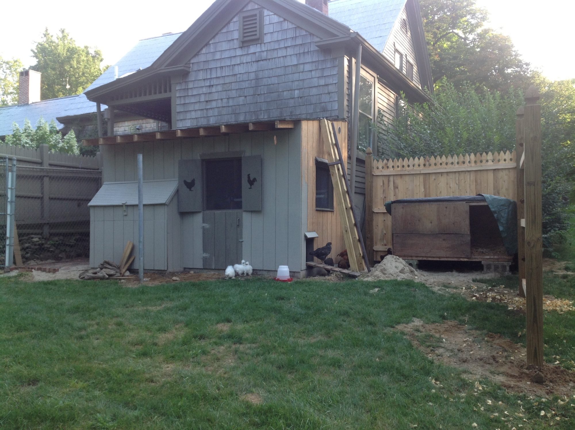 Coop is a work in progress.  Most of the priming completed..one side left, then staining same color as house.  Chain link fence on right side enclosing entrance and nest box...installed brick patio from scrap when chimney was rebuild.  Right side privacy fence to shield view from street and neighbor.  Adding hardware cloth buried below and closing off remainder with electric poultry fence....at least that is today's plan.  Dragged an old dog house up to make an isolation area....or housing a silky that turns out to be a rooster.