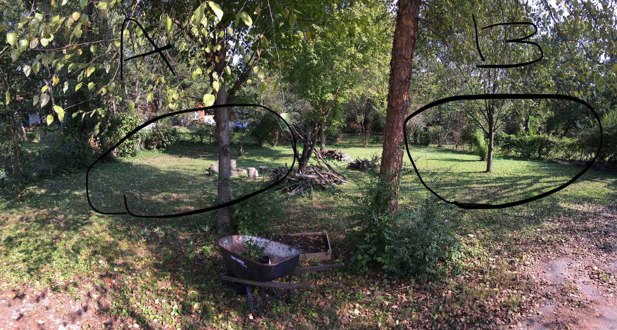 Coop Location Yard
