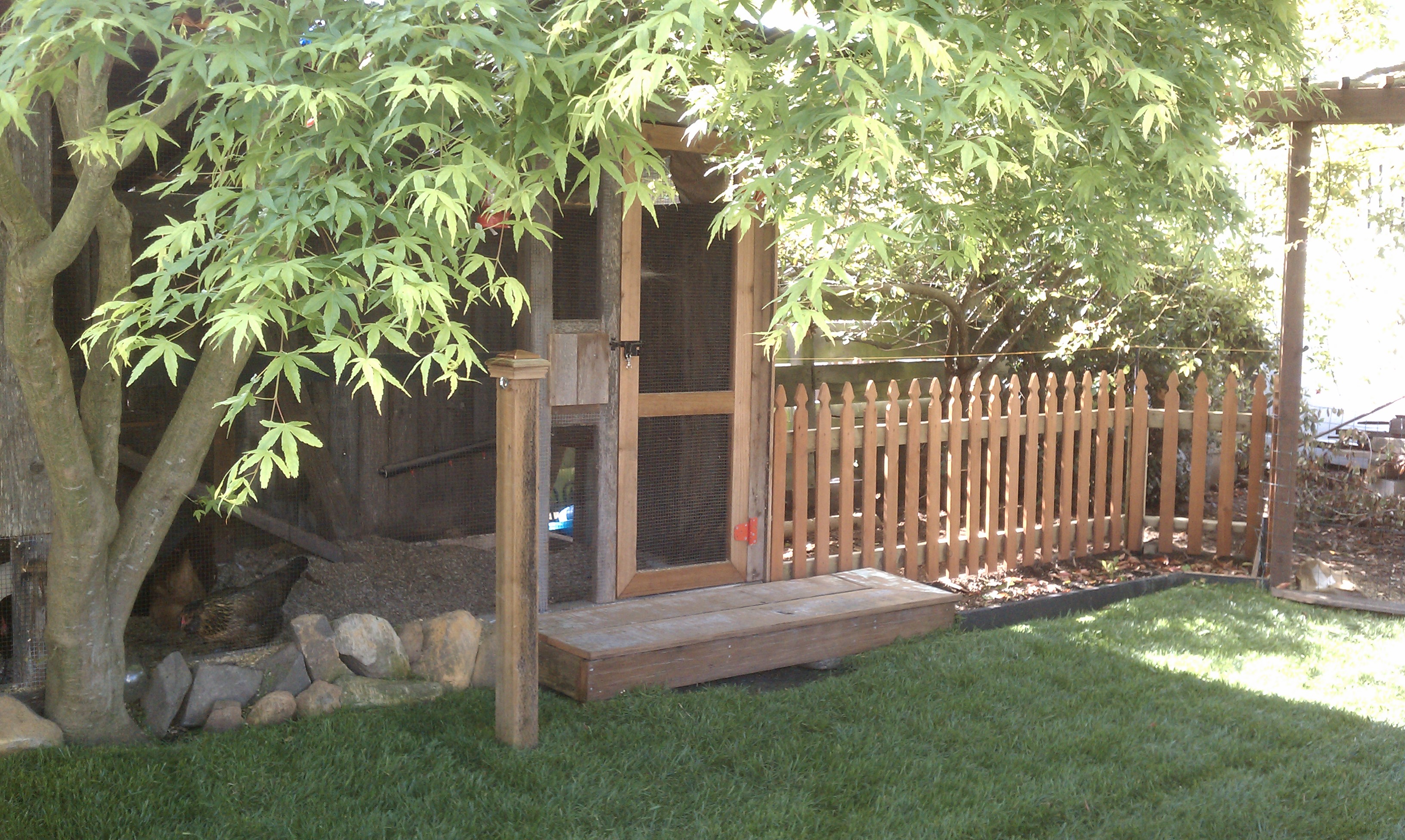 Coop, porch and part of the run... gate coming under the arbor at a later date.