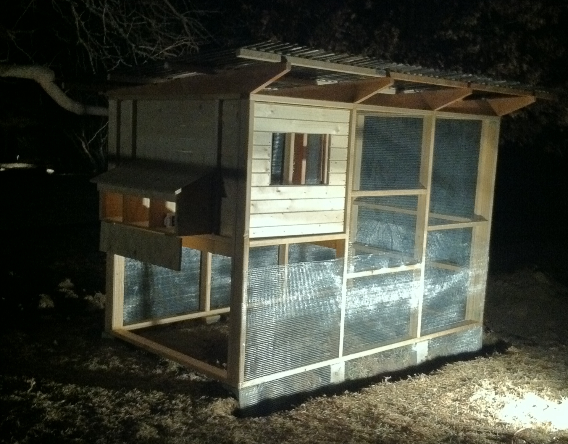 Coop progress 1/26/12