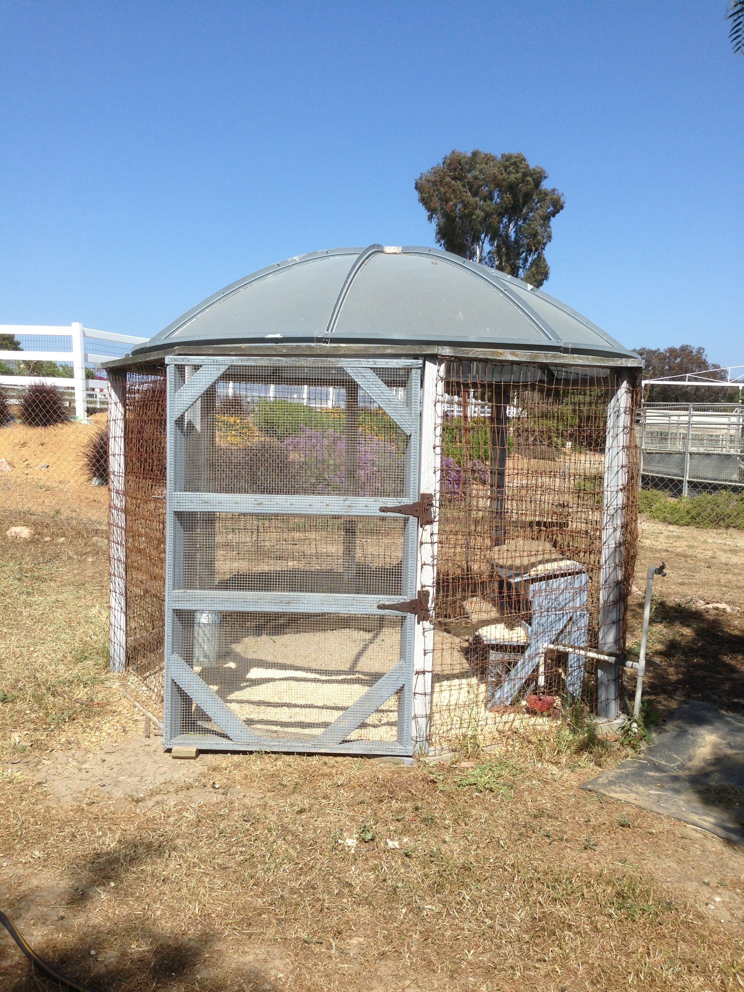 Coop.  Repurposed satellite disk makes a great roof.