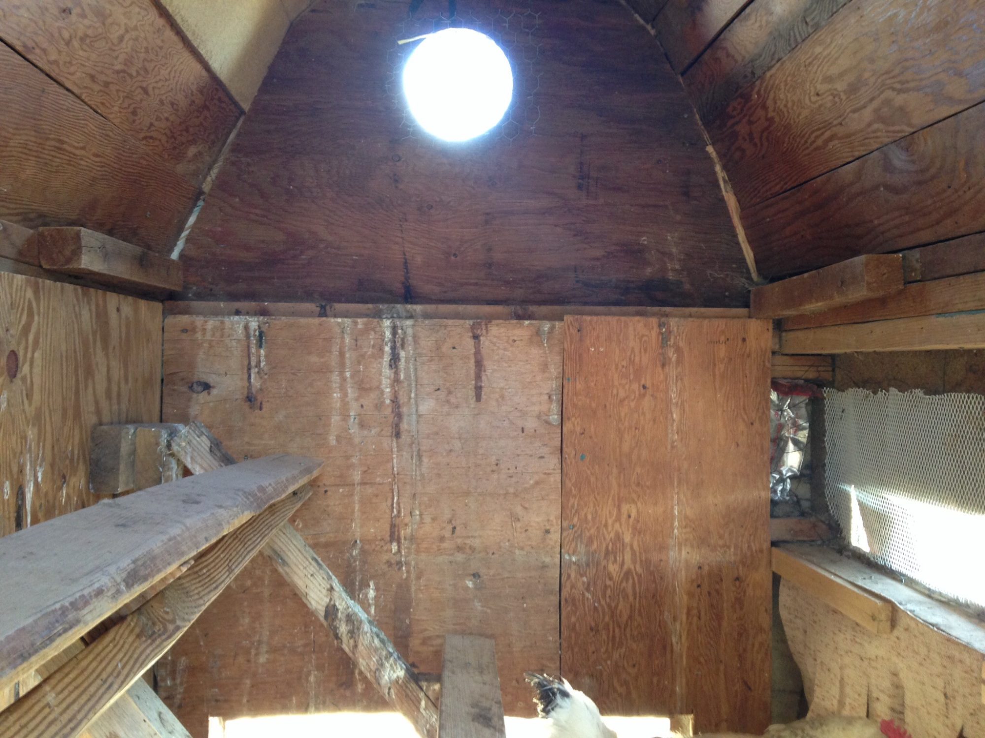 Coop roosts, will be redone in style of a Dutch influenced coop.