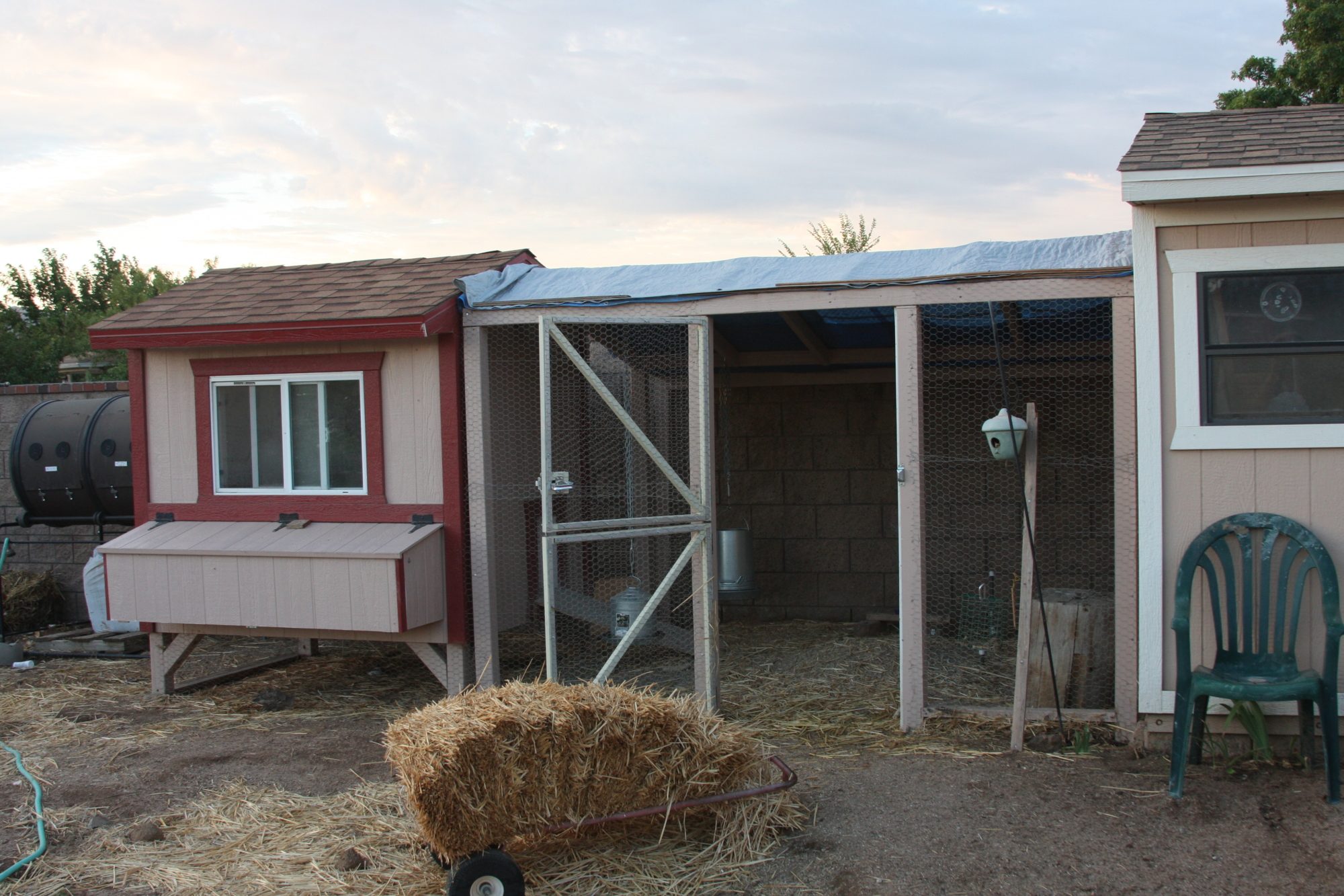 Coop, run and garden shed